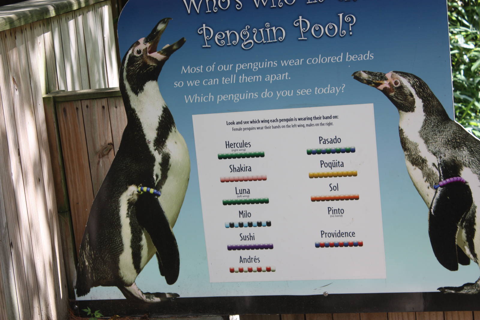 Tropical America- Who's Who?