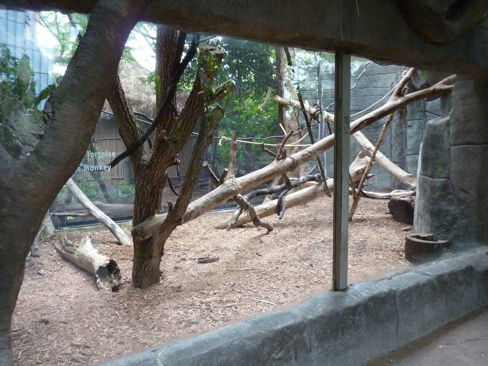 Tropical American Rain Forest - Black Howler Monkey Exhibit