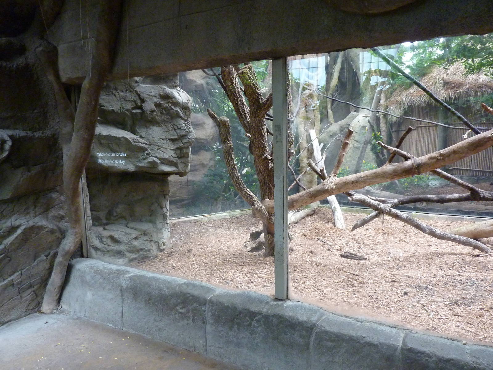 Tropical American Rain Forest - Black Howler Monkey Exhibit