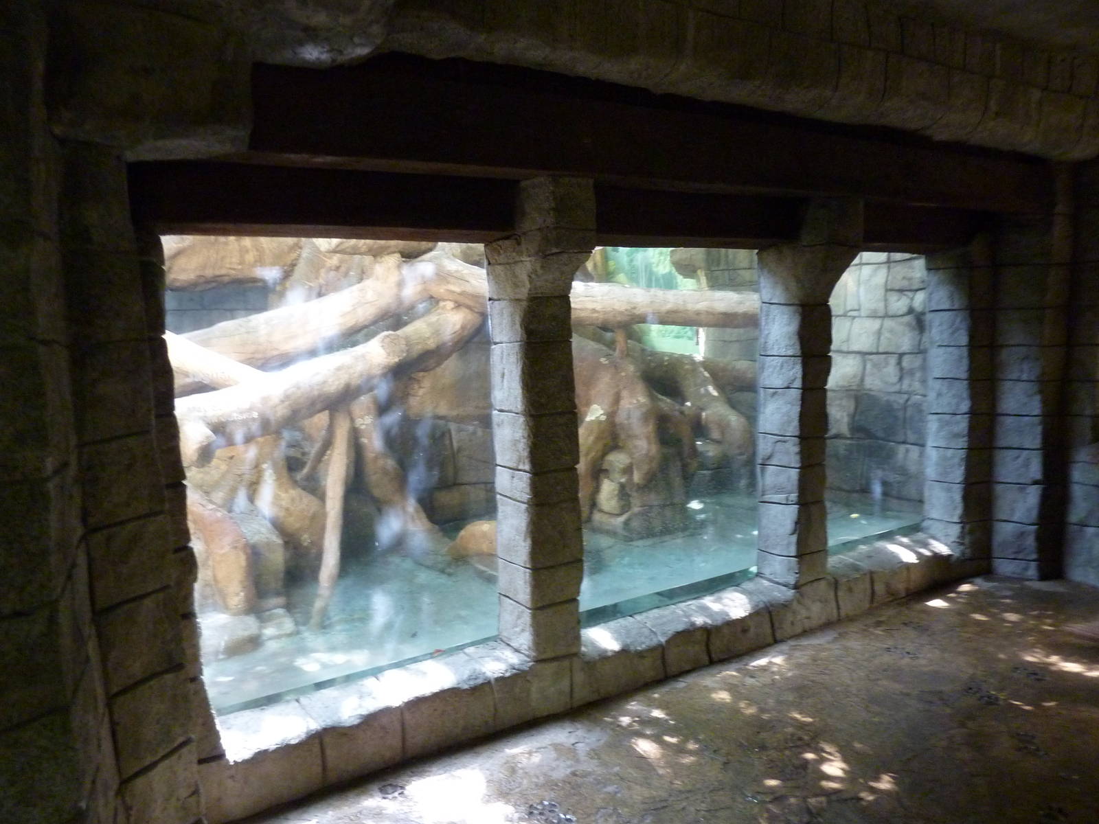 Tropical American Rain Forest - Jaguar Exhibit