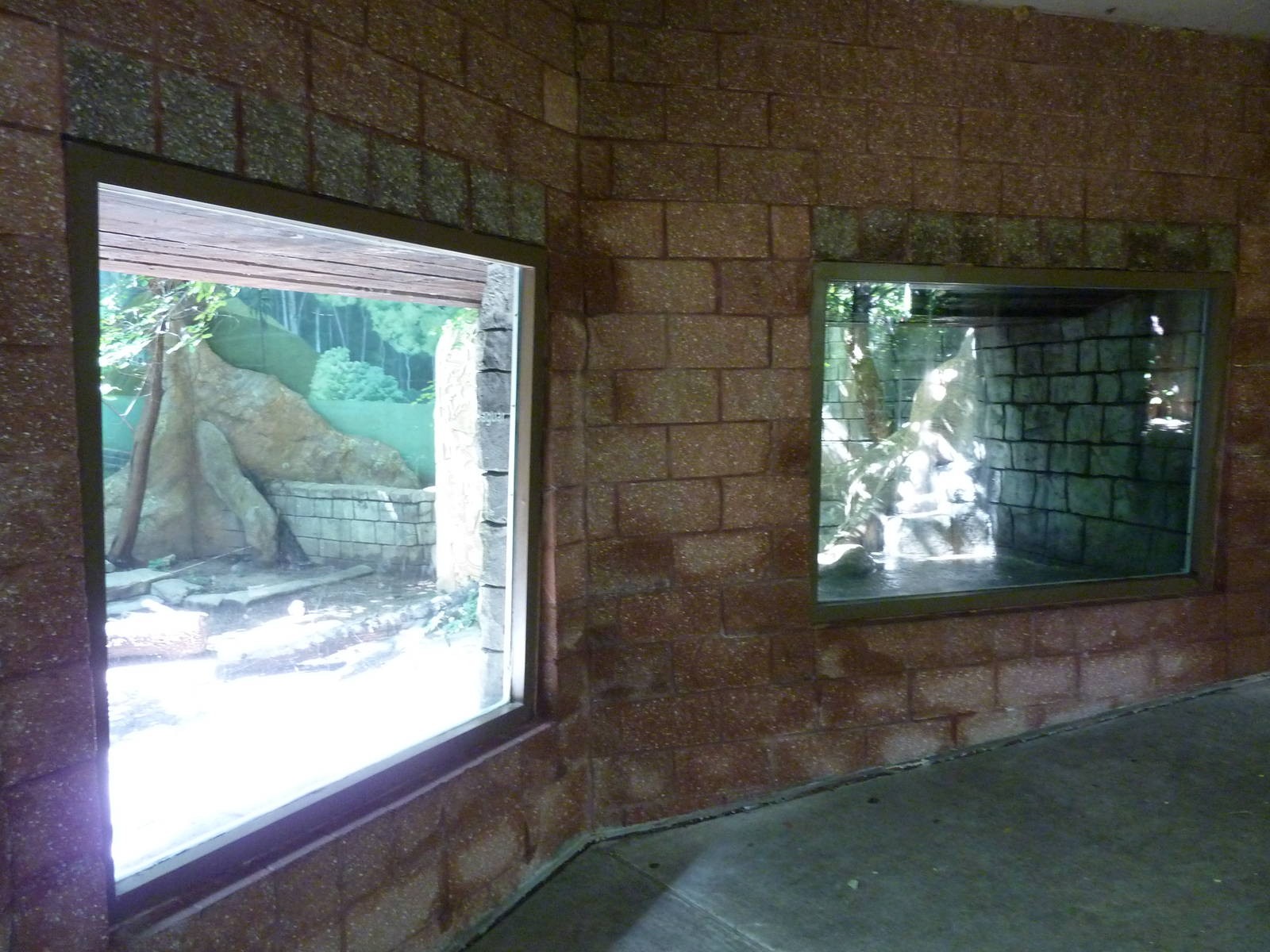 Tropical American Rain Forest - Jaguar Exhibit