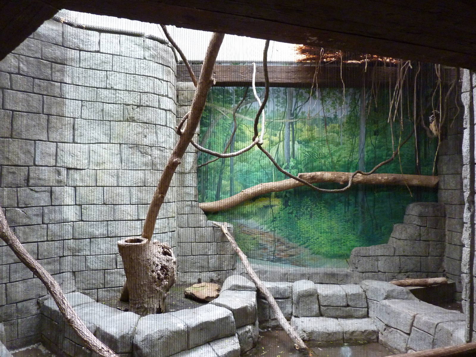 Tropical American Rain Forest - Spectacled Owl Exhibit