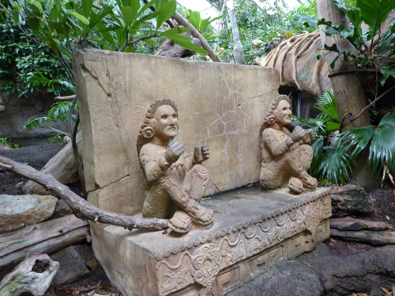 Tropical American Rain Forest