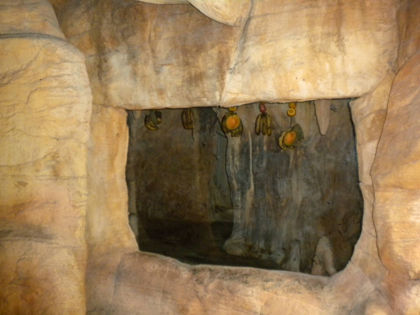 Tropical American Rainforest - Fruit Bats