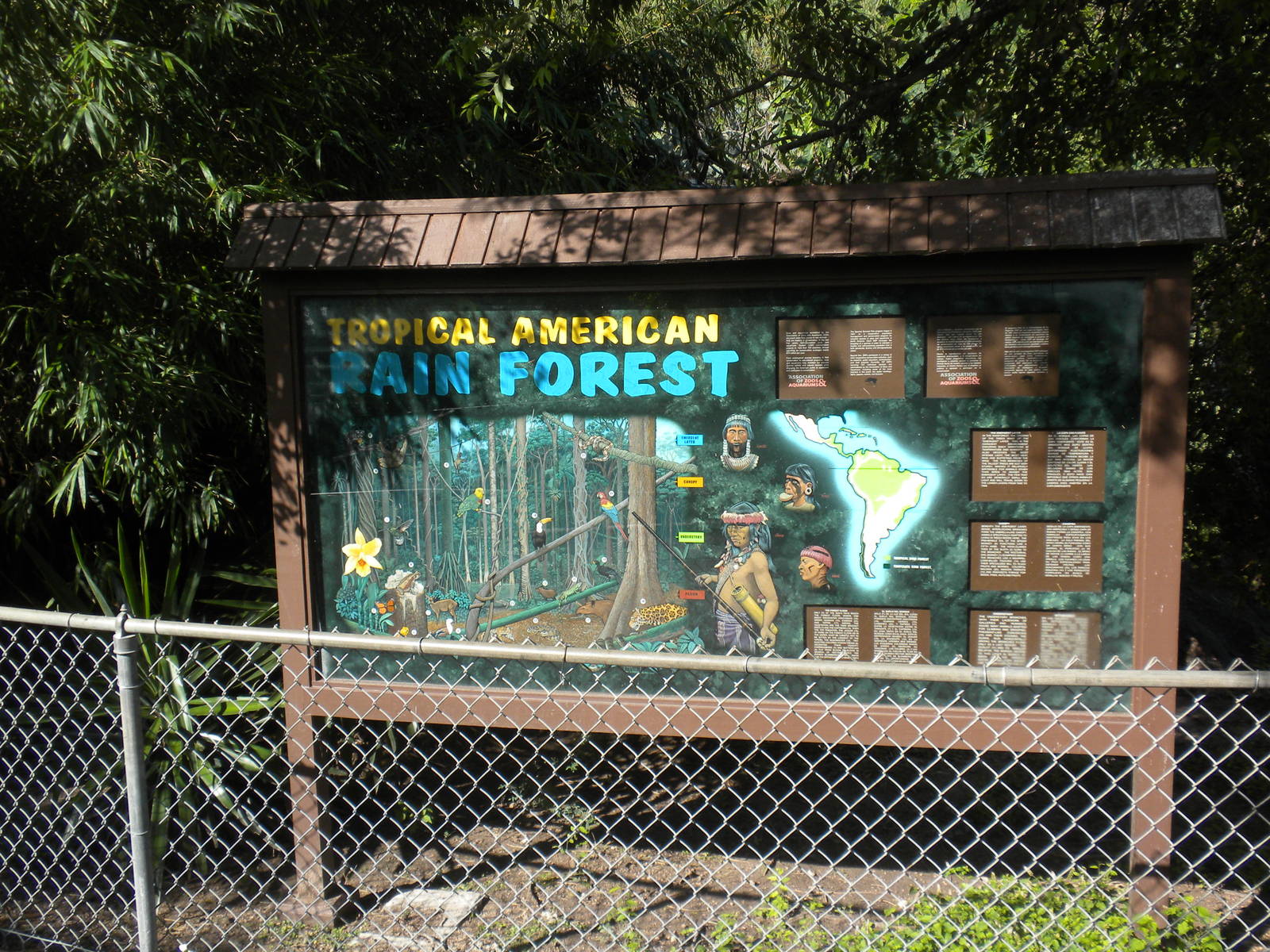 Tropical American Rainforest Sign