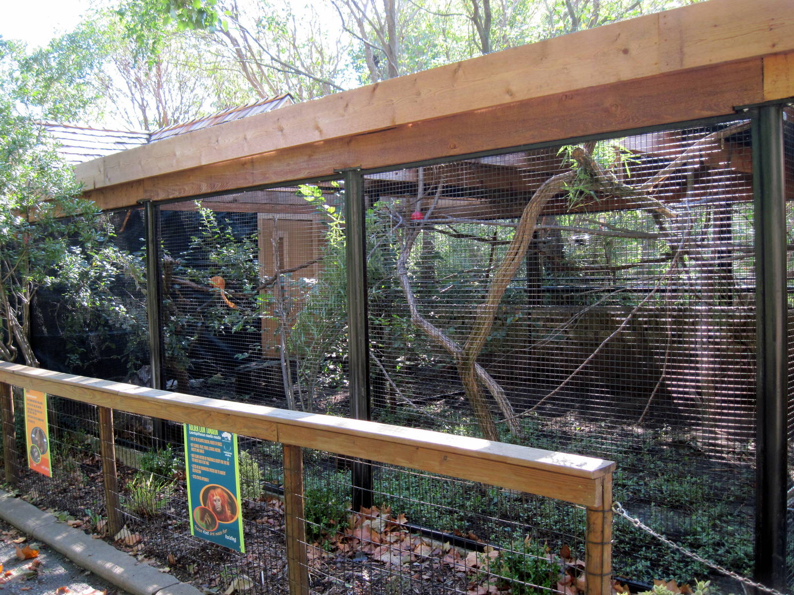 Tropical Animals-Golden Lion Tamarin/Agouti Exhibit