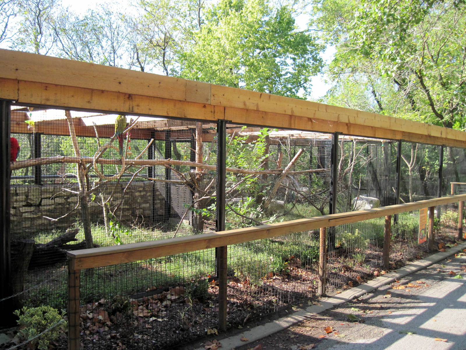 Tropical Animals-Green-winged and Military Macaw Exhibit
