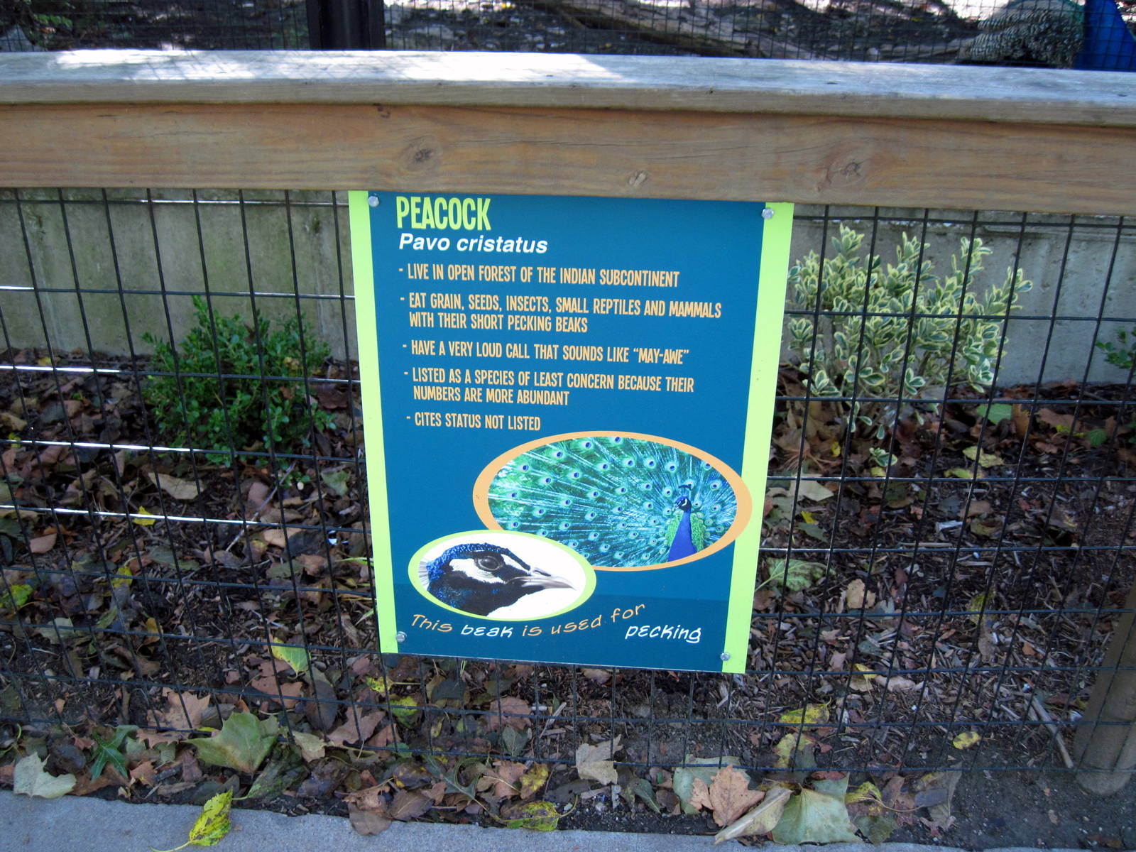 Tropical Animals-Signage