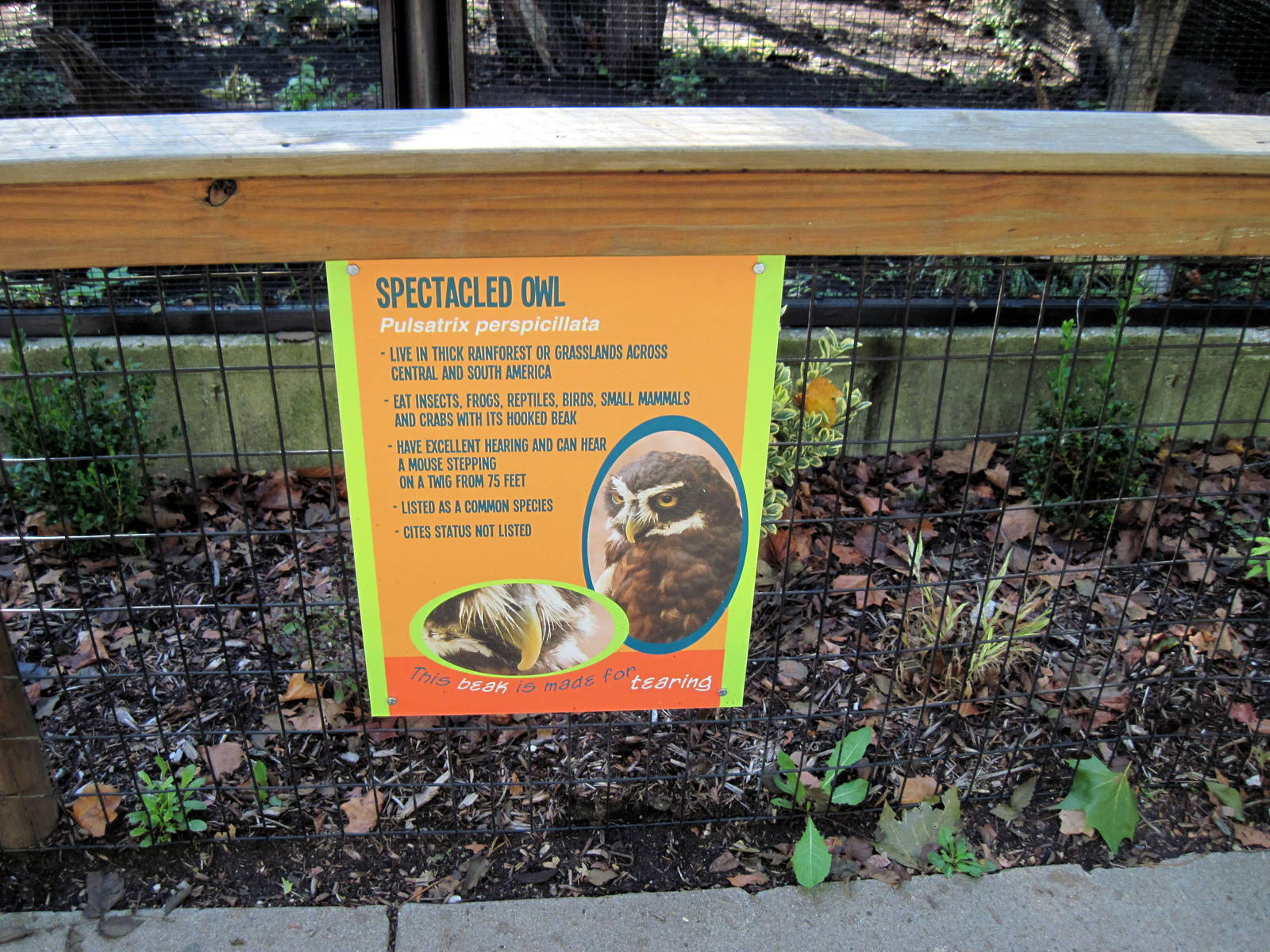 Tropical Animals-Signage