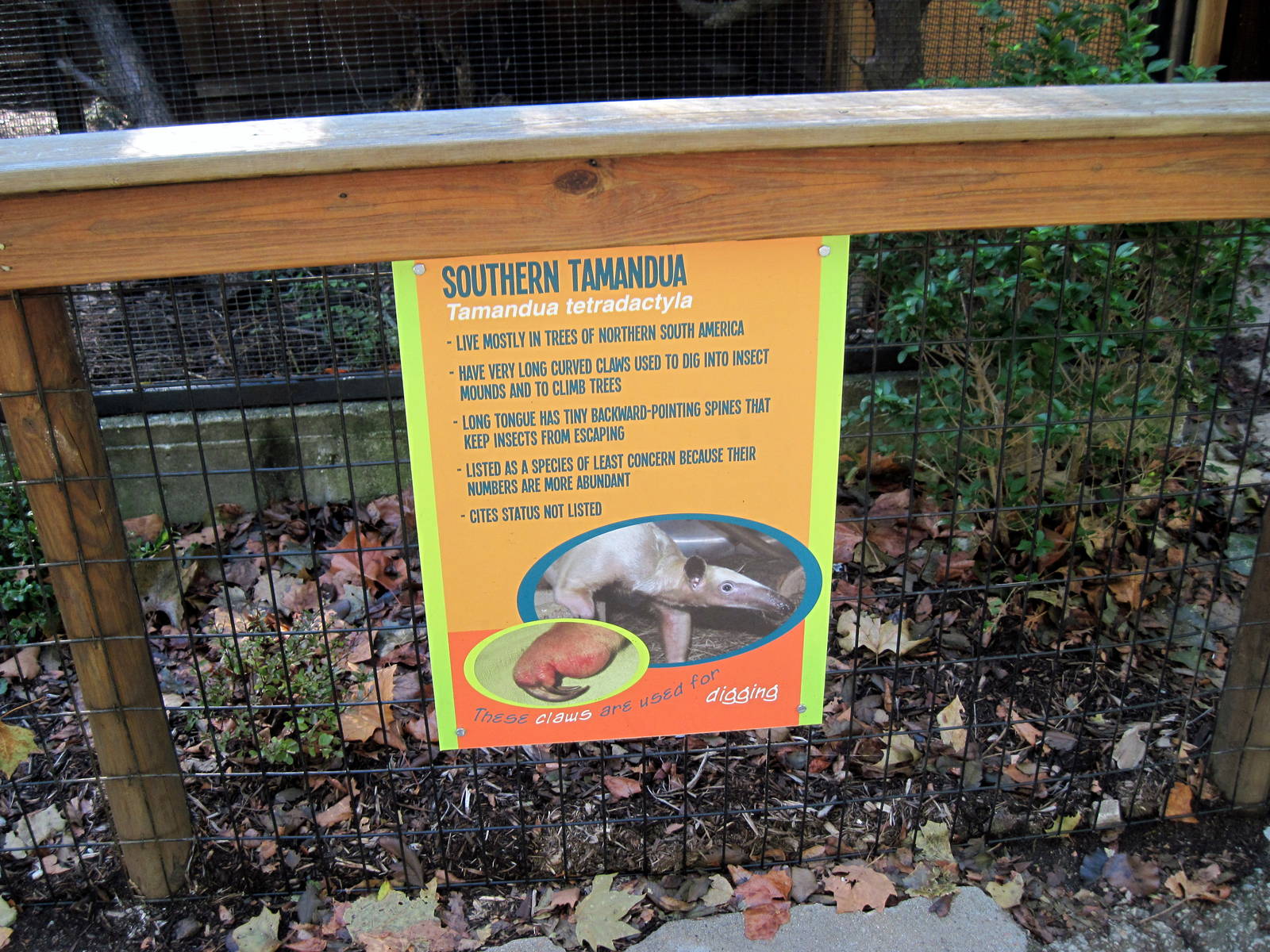 Tropical Animals-Signage