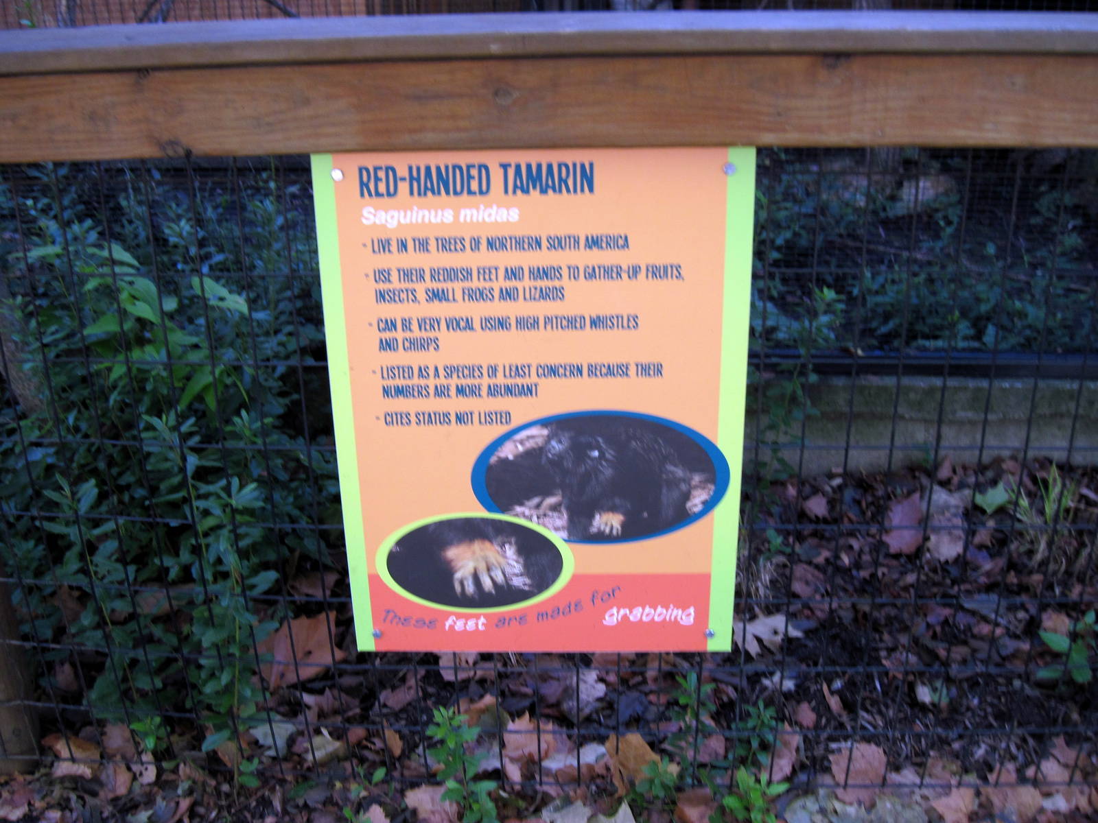 Tropical Animals-Signage