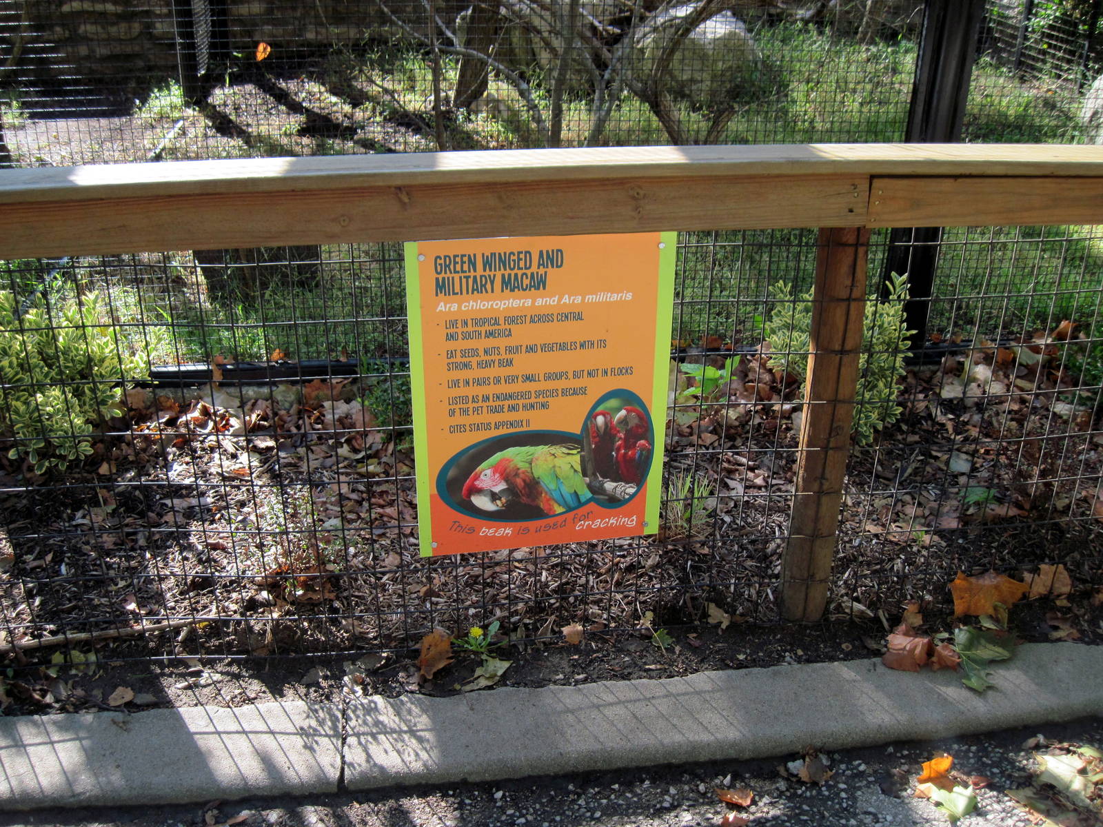 Tropical Animals-Signage