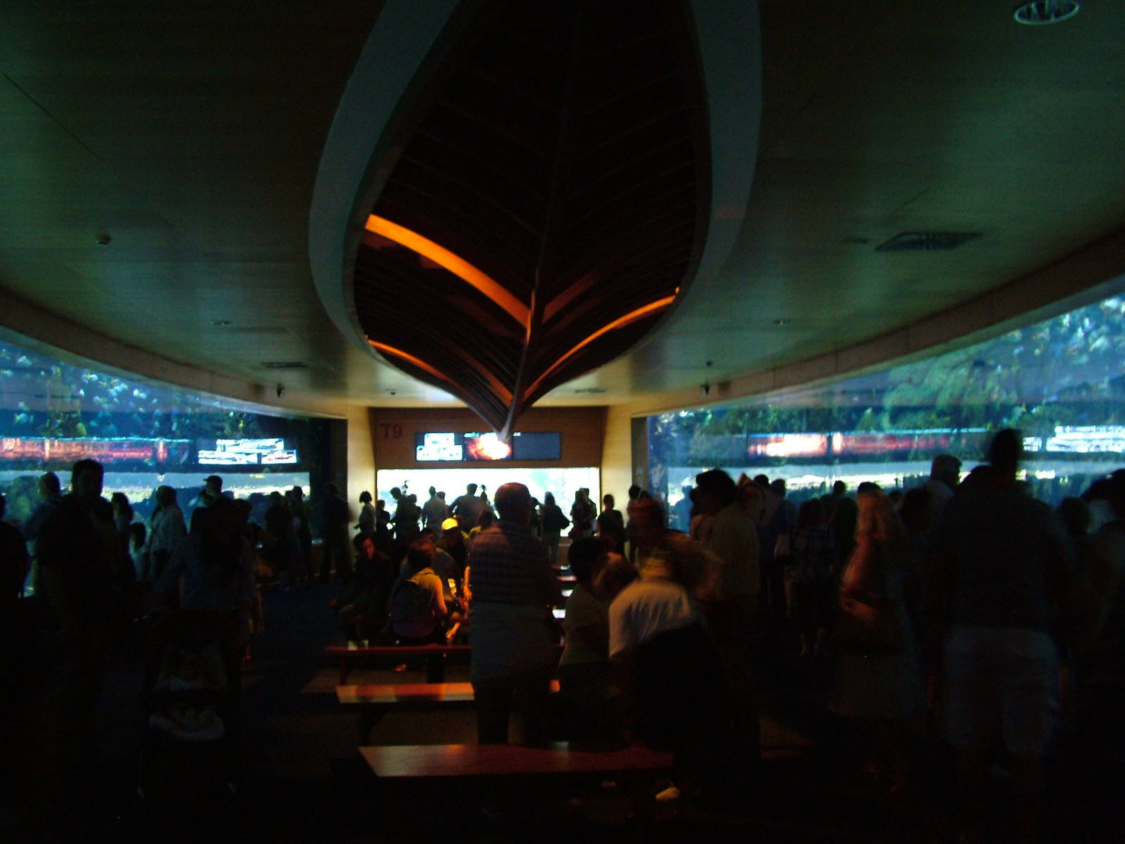 Tropical Aquarium at Oceanografic, 29/05/11