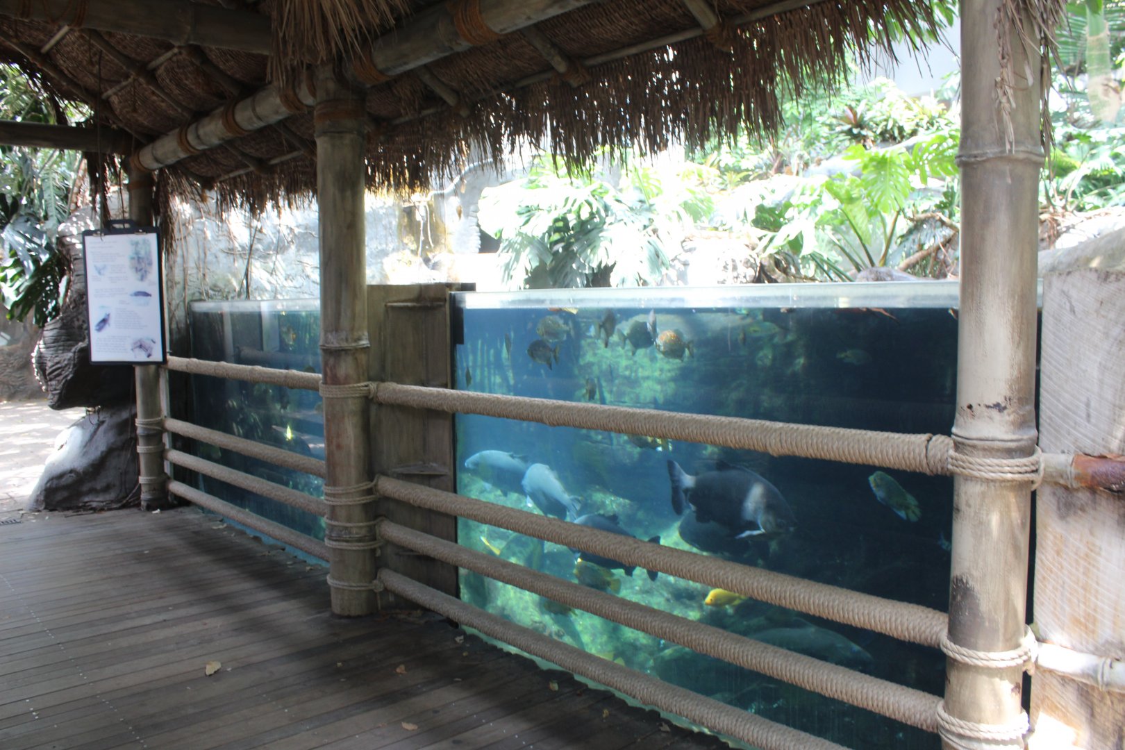 Tropical Aquarium - Tropical Discovery