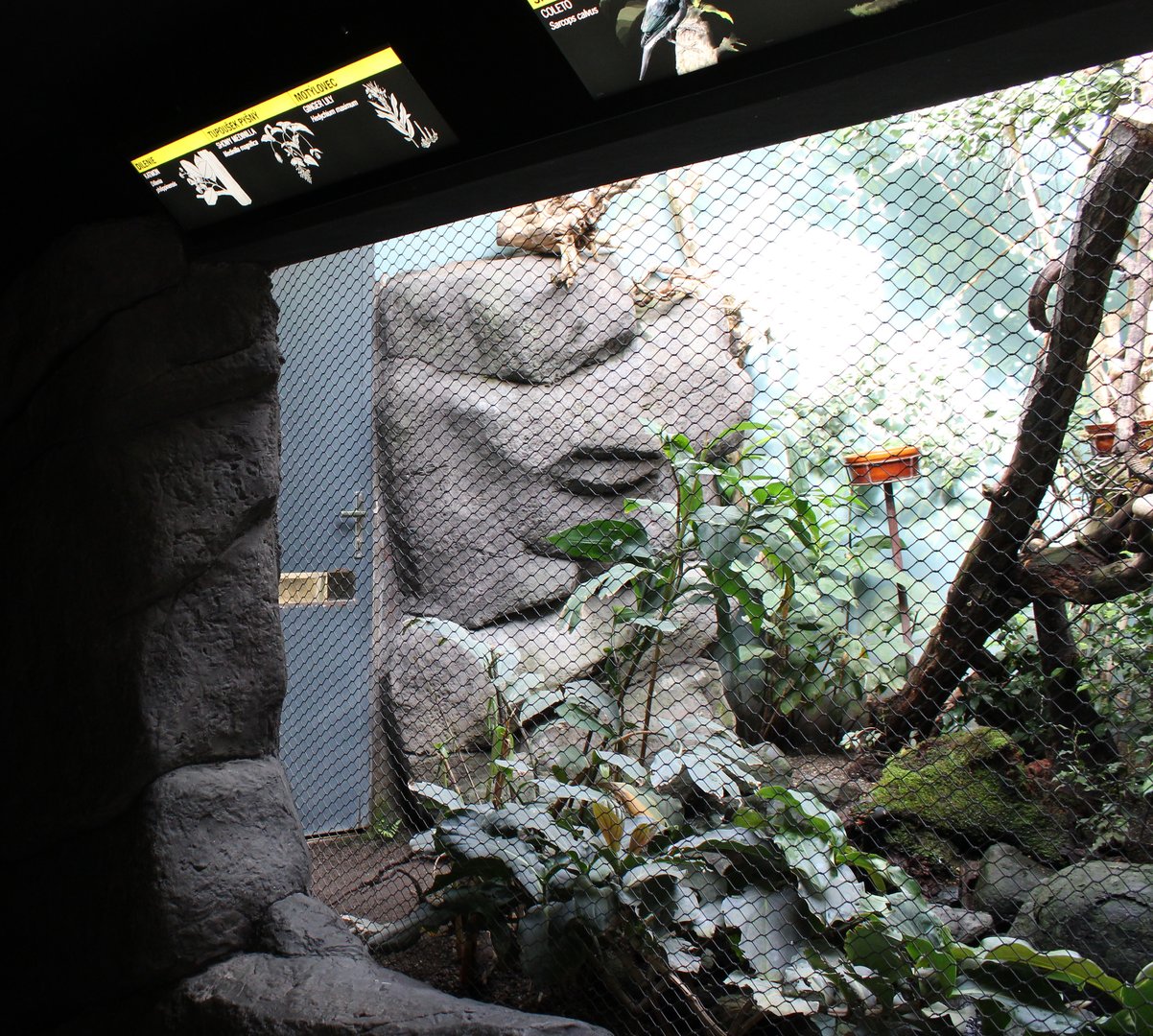 Tropical Asia aviary - Bird House