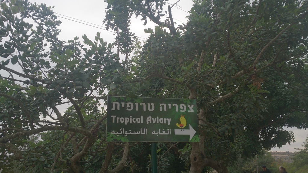 Tropical Aviary 23.11.13