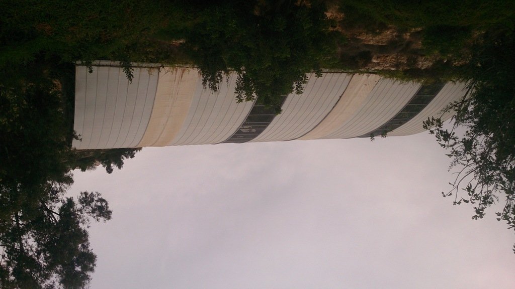 Tropical Aviary 23.11.13