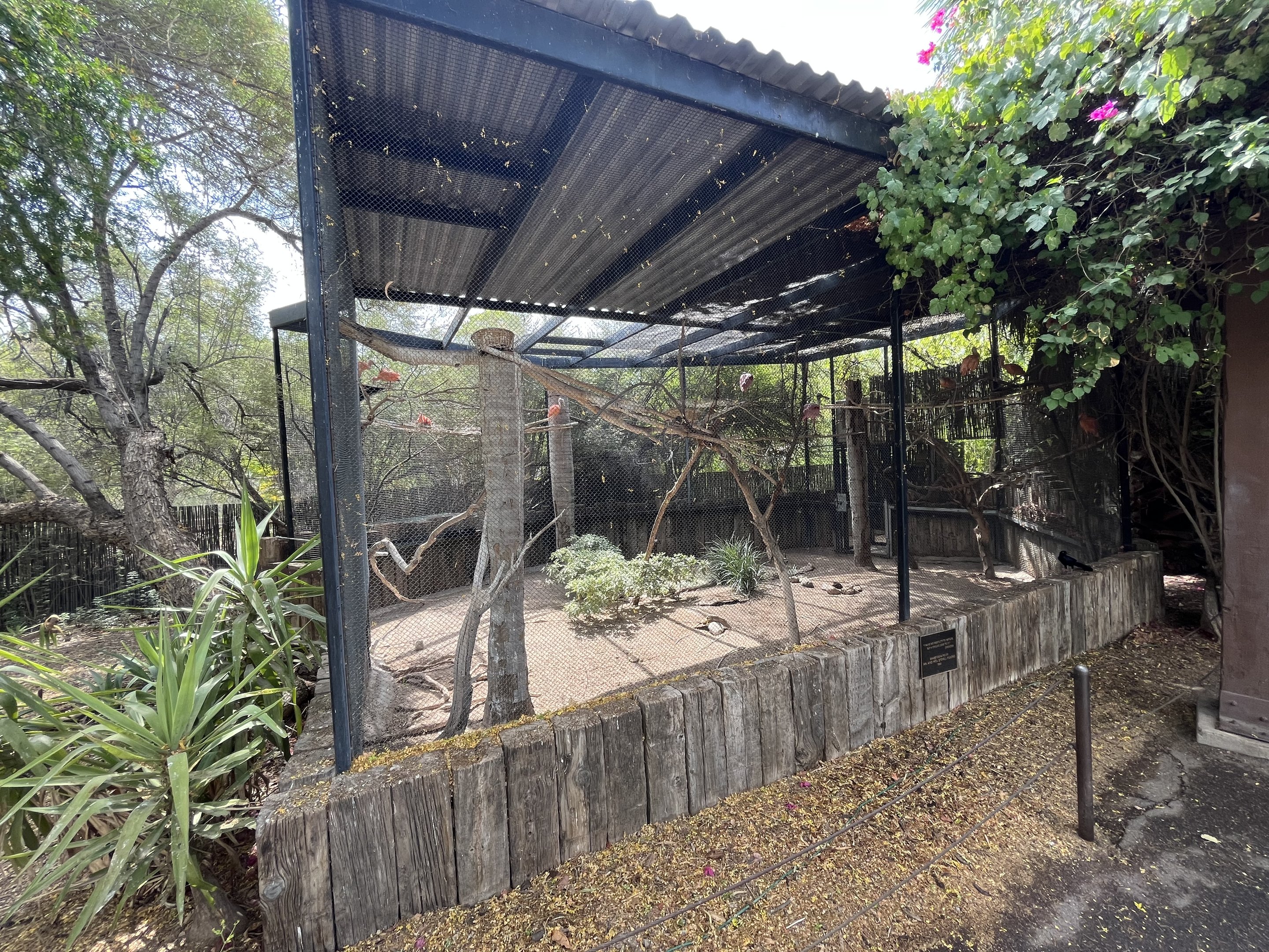 Tropical Aviary (3 species)