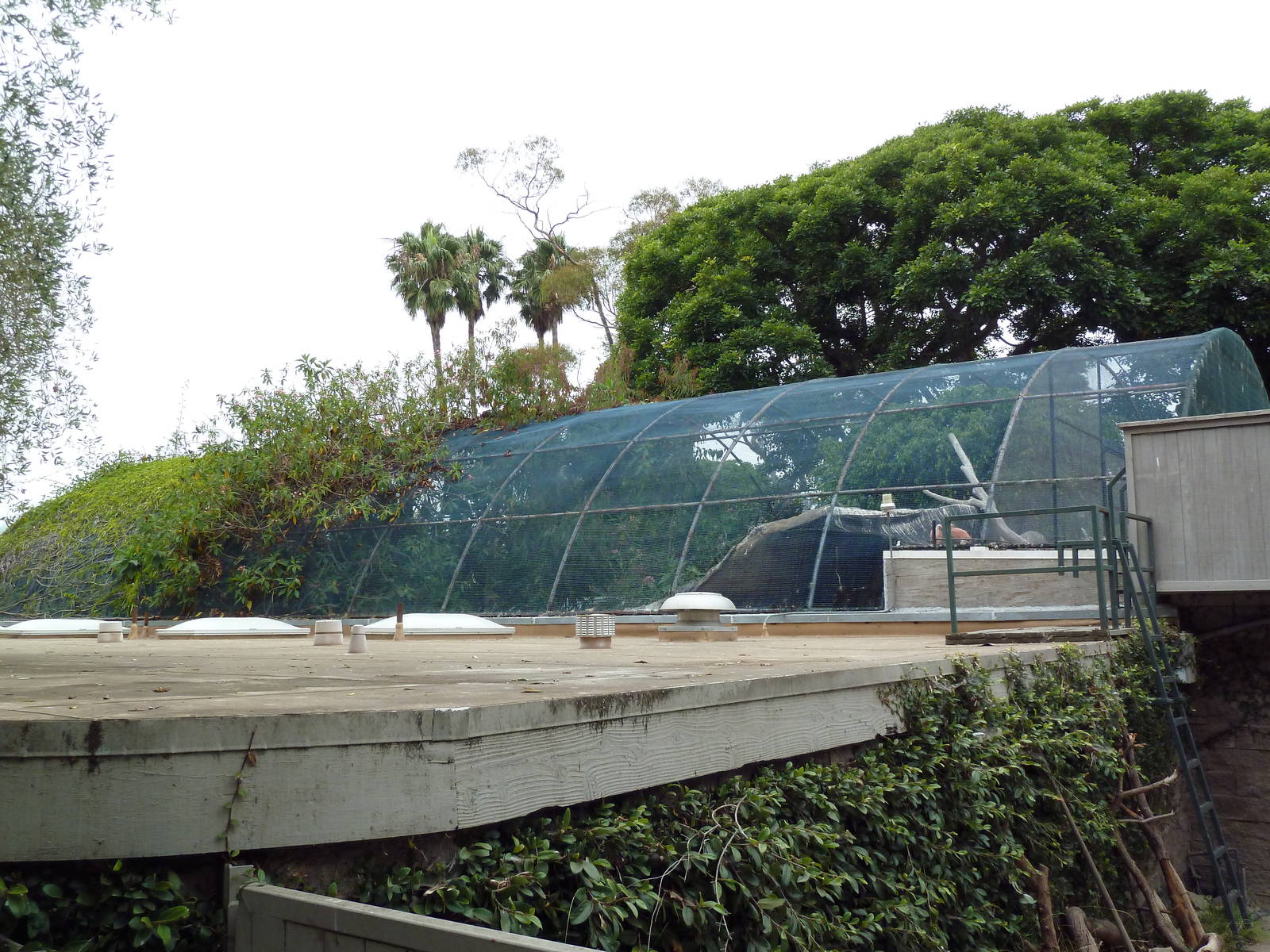 Tropical Aviary - Exterior