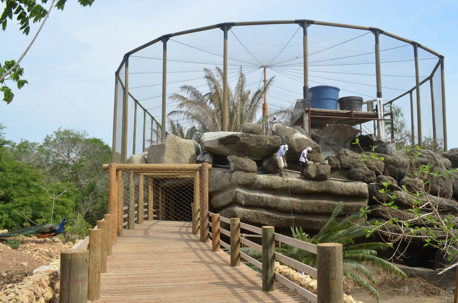 Tropical aviary (nearly finished)