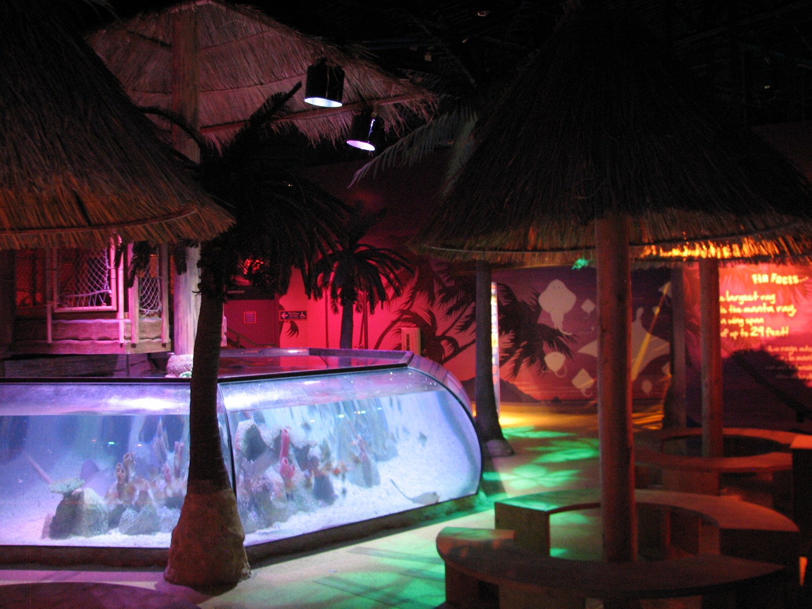 Tropical Bay of Rays