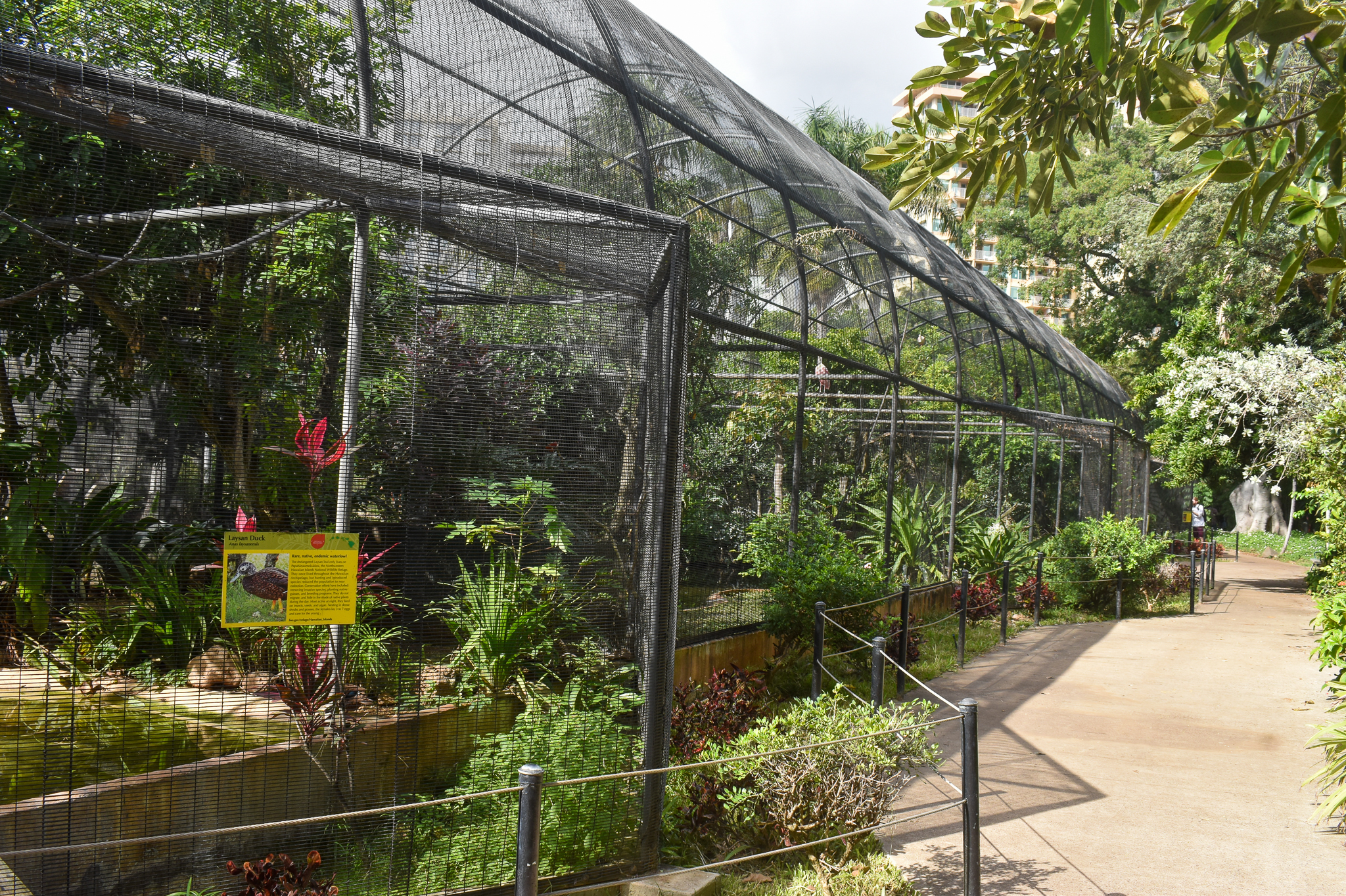 Tropical bird aviaries