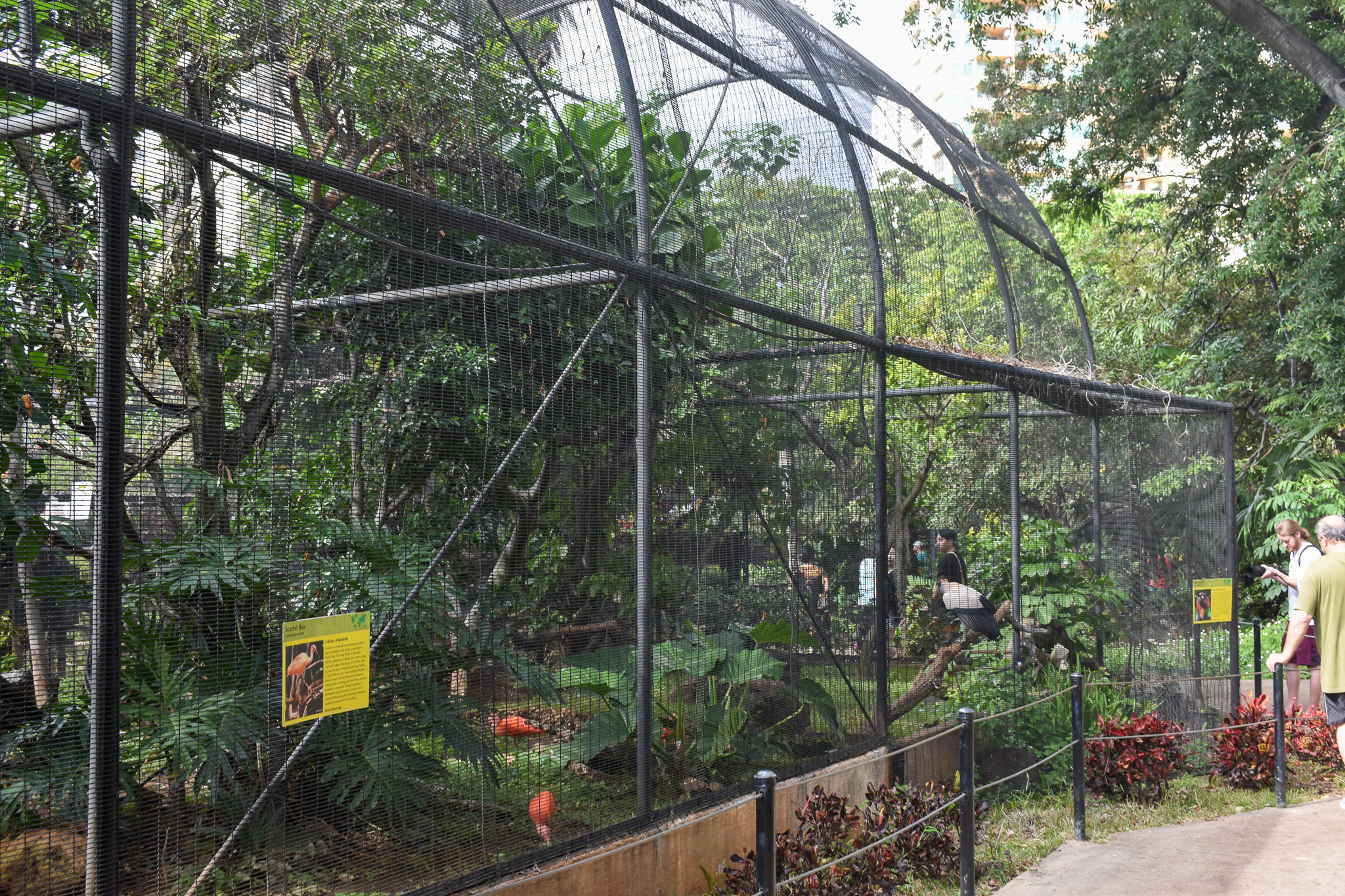 Tropical bird aviaries