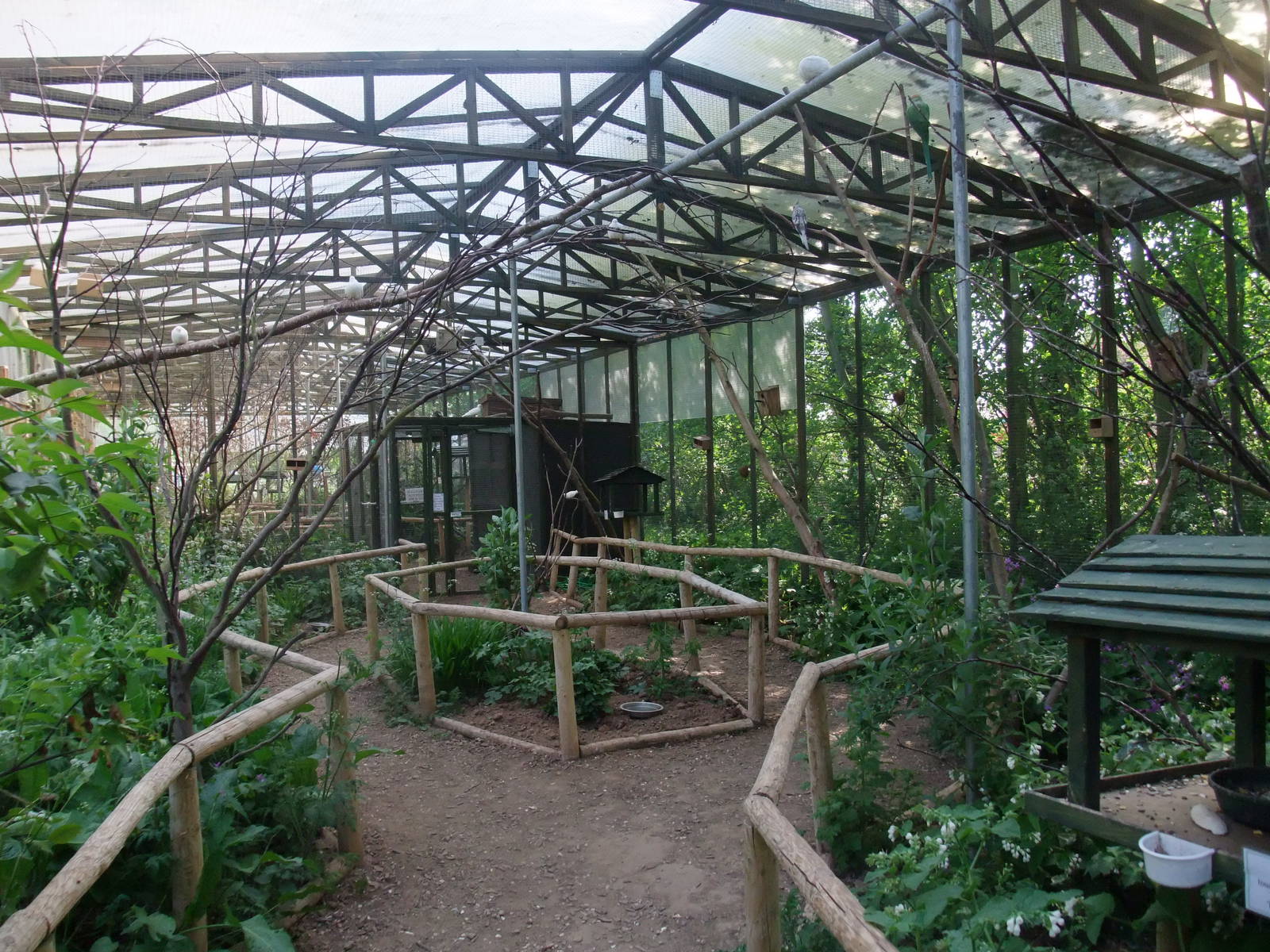 Tropical Bird Aviary at Long Sutton 25/04/11