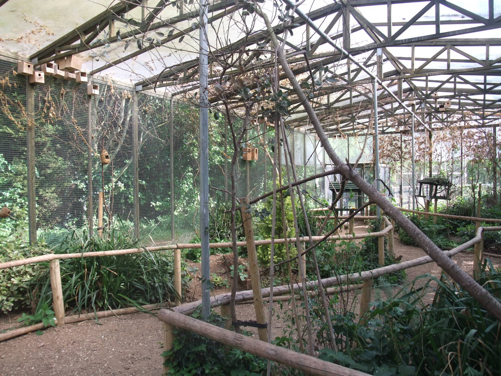 Tropical Bird Aviary at Long Sutton 25/04/11
