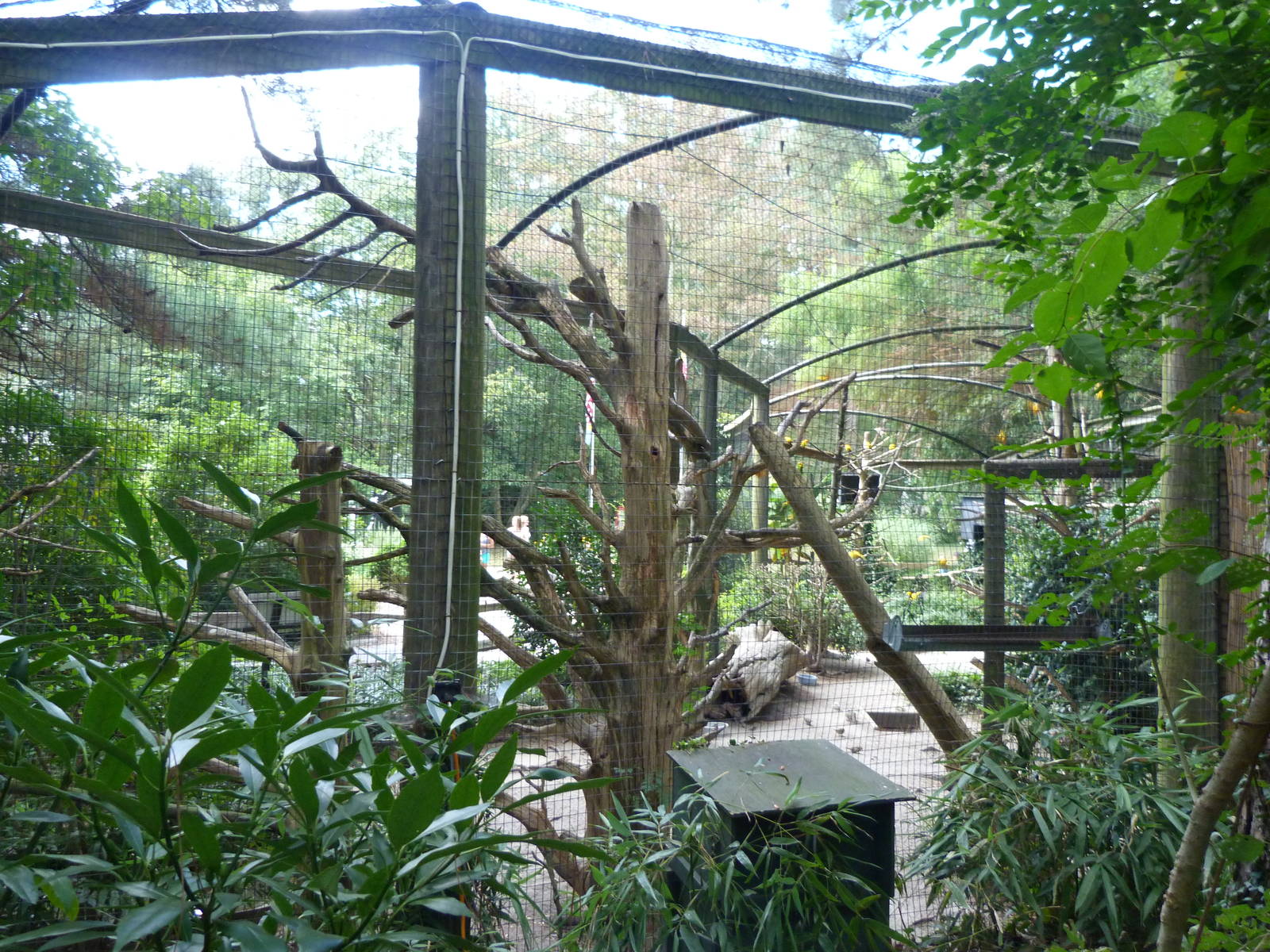 Tropical Bird Exhibit - 9/7/13