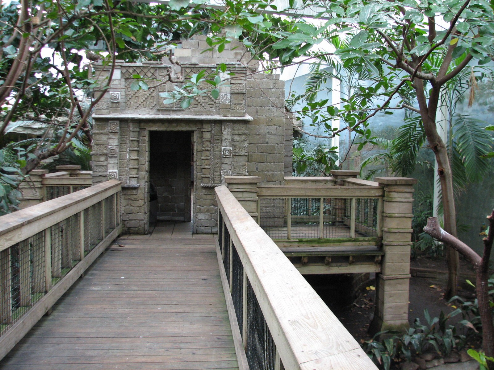 Tropical Bird House - Aviary Interior