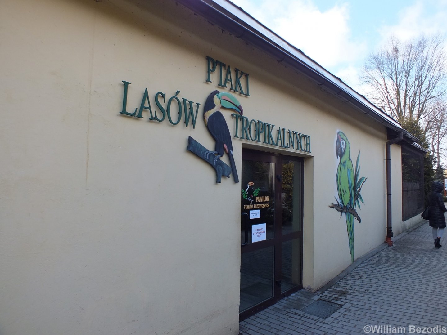 Tropical Bird House Entrance