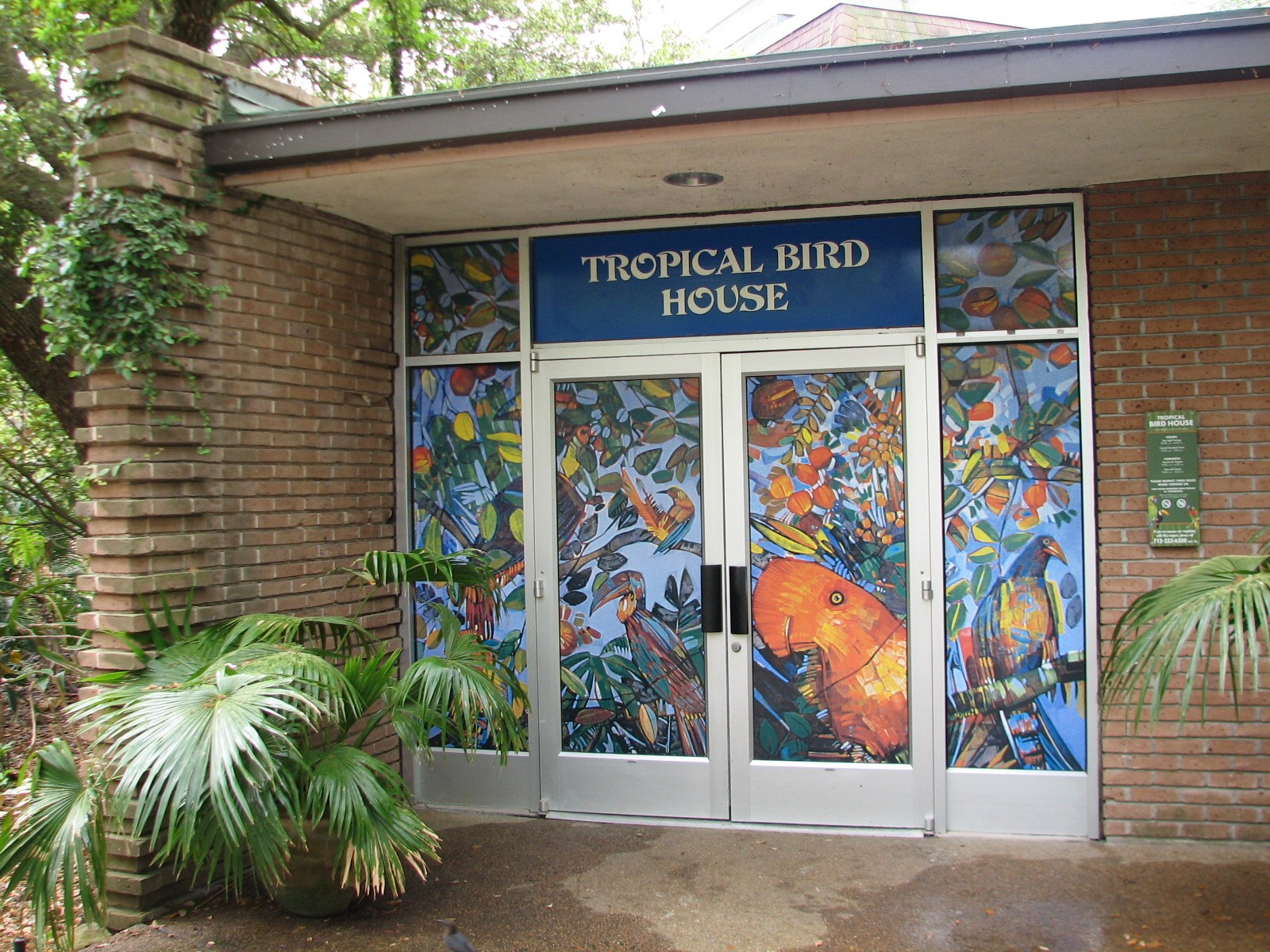 Tropical Bird House - Exterior