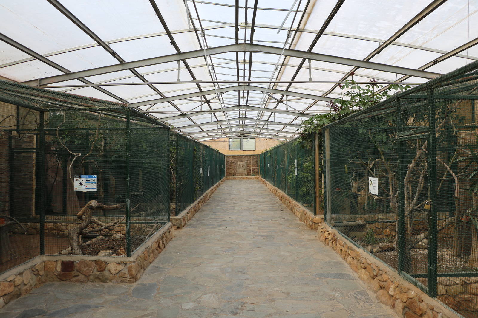 Tropical bird house, February 2016