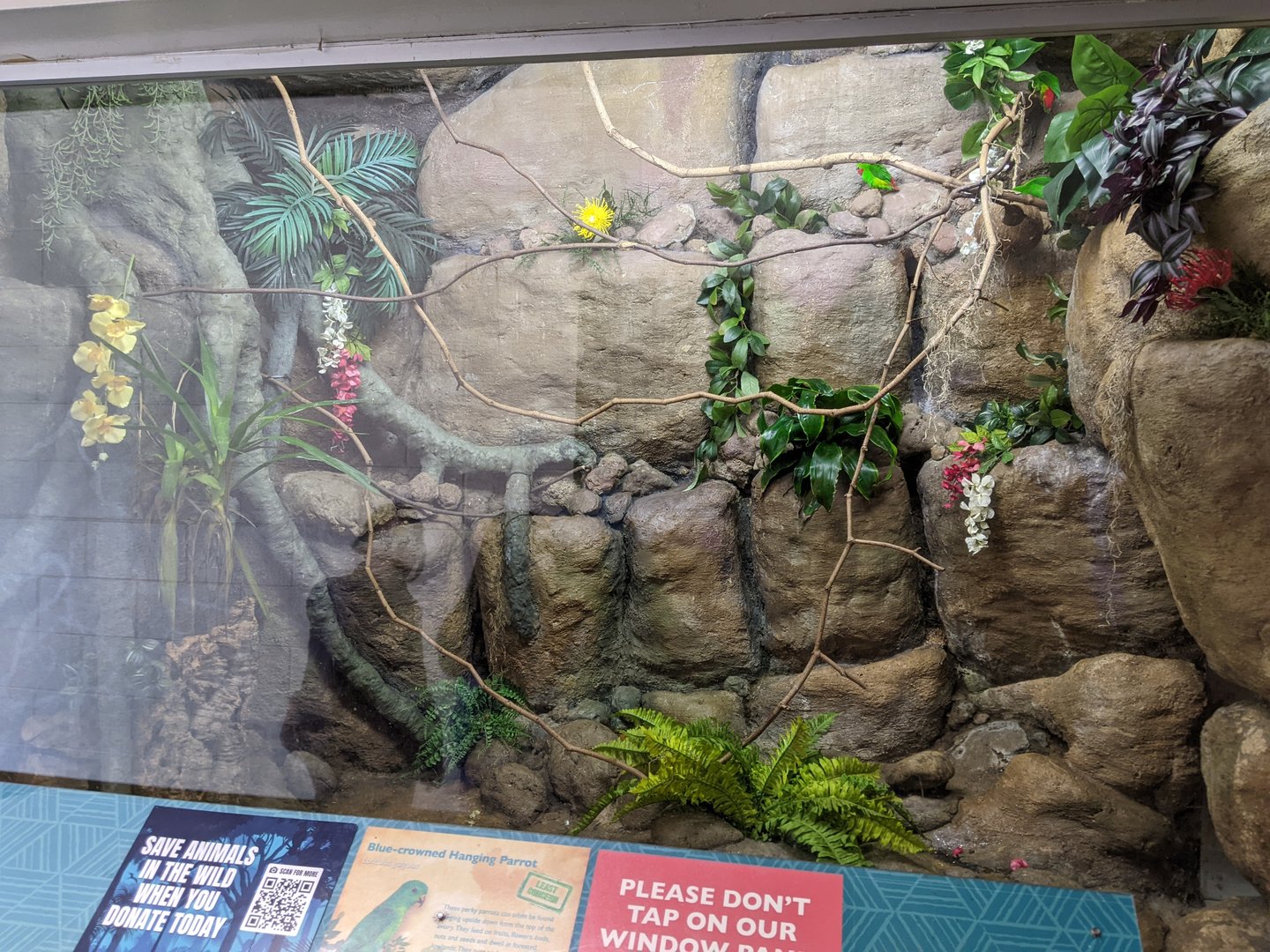 Tropical Bird House - Hanging Parrot Exhibit