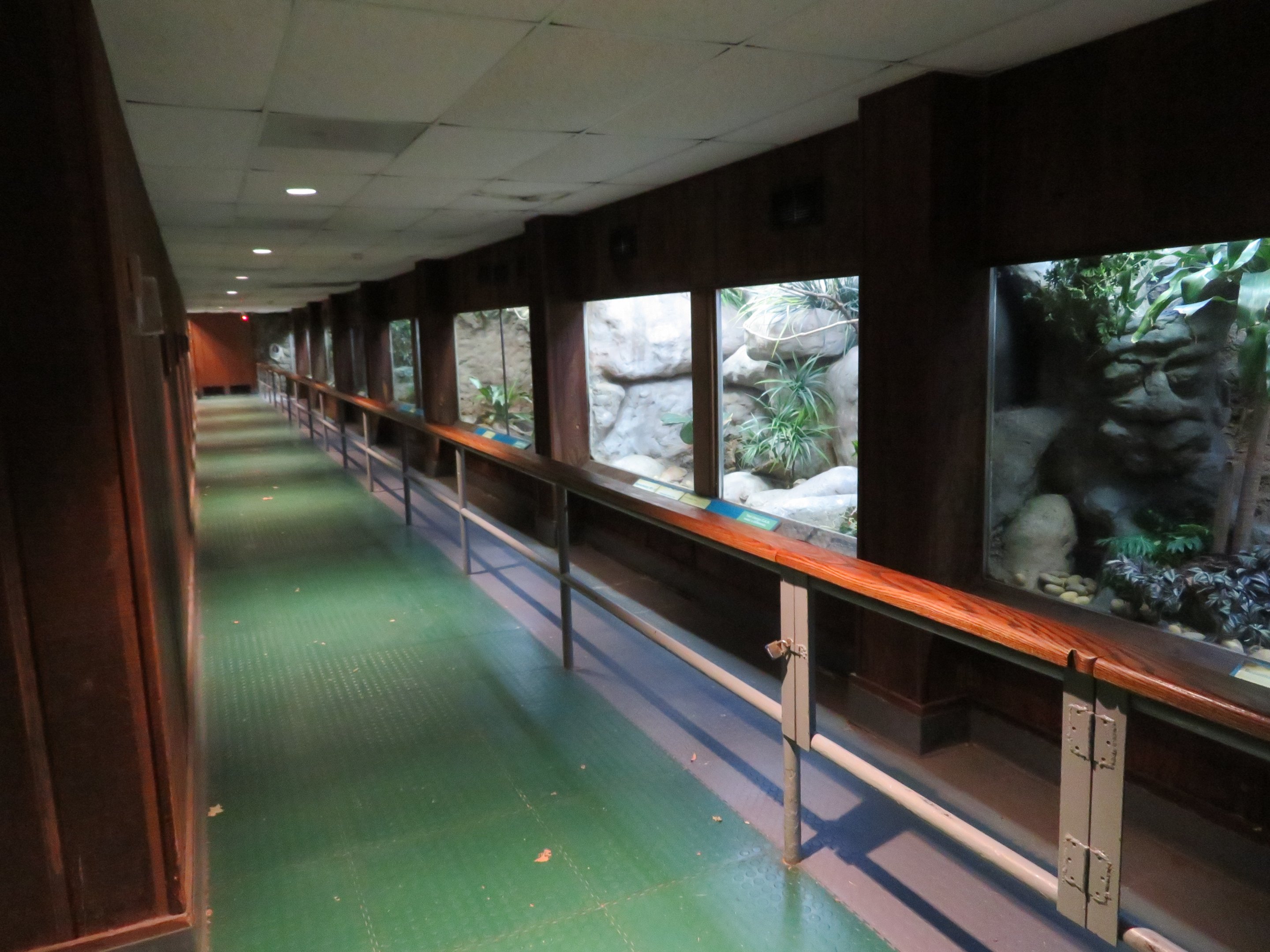 Tropical Bird House - Interior