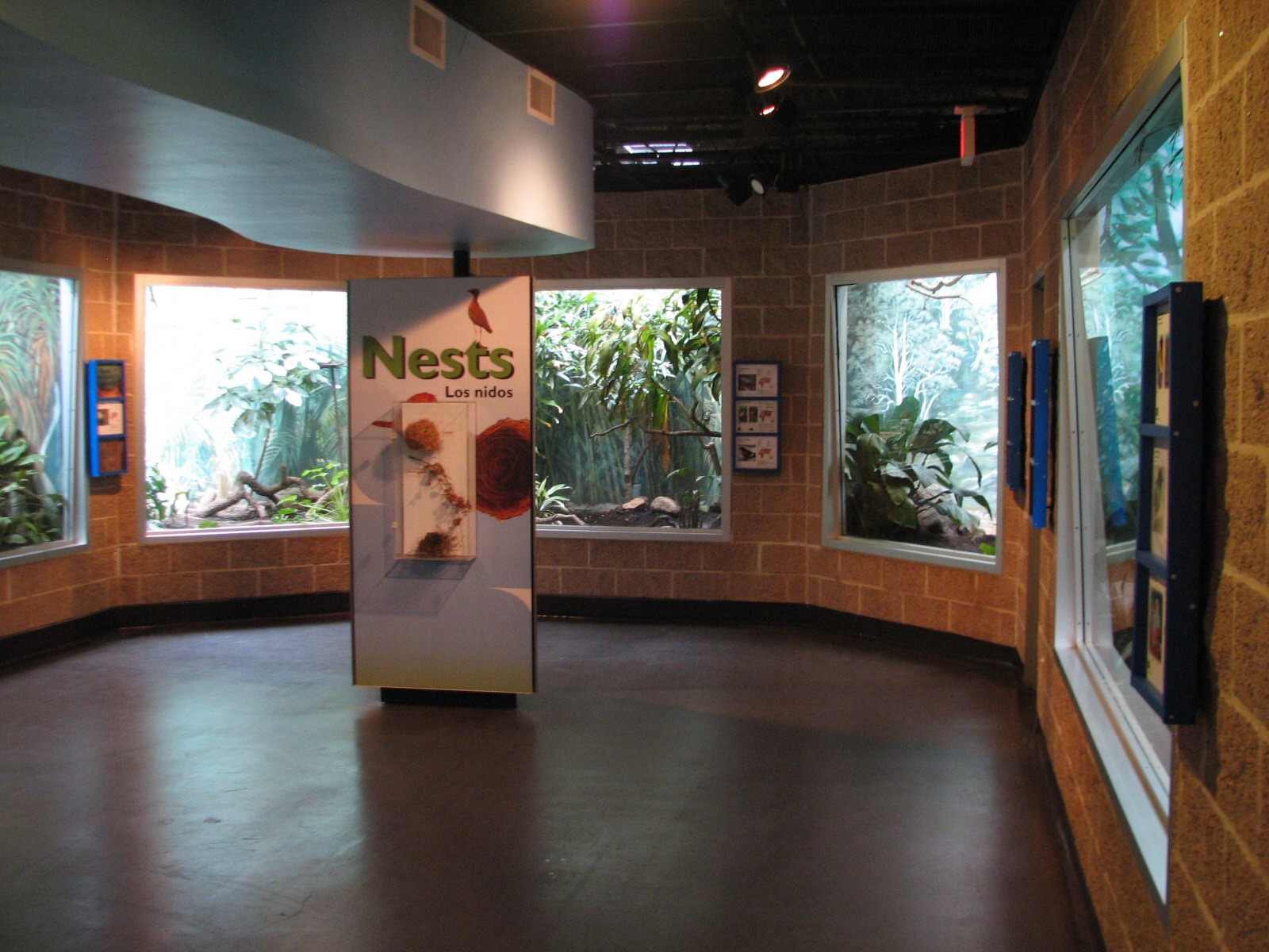 Tropical Bird House - Interior