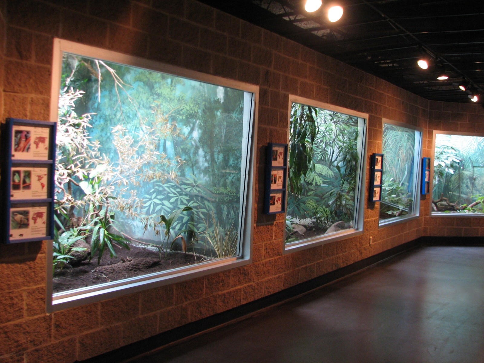 Tropical Bird House - Interior