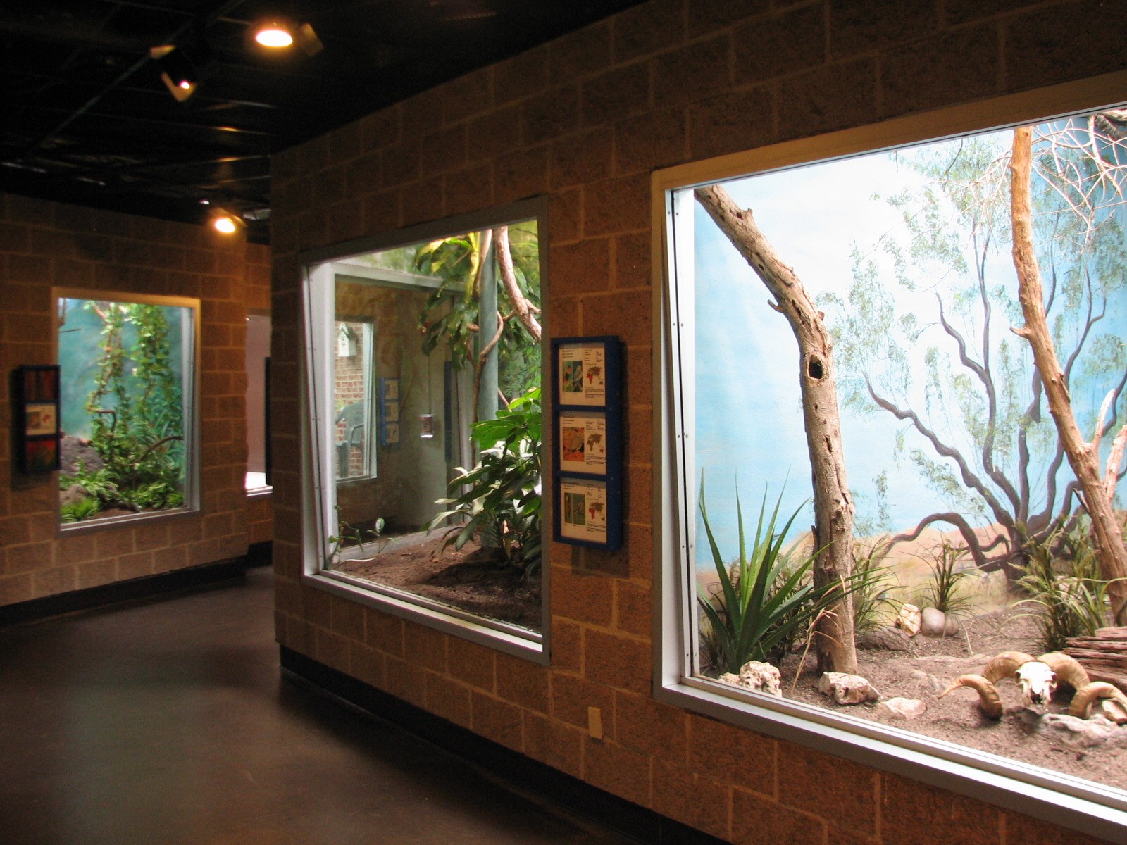 Tropical Bird House - Interior