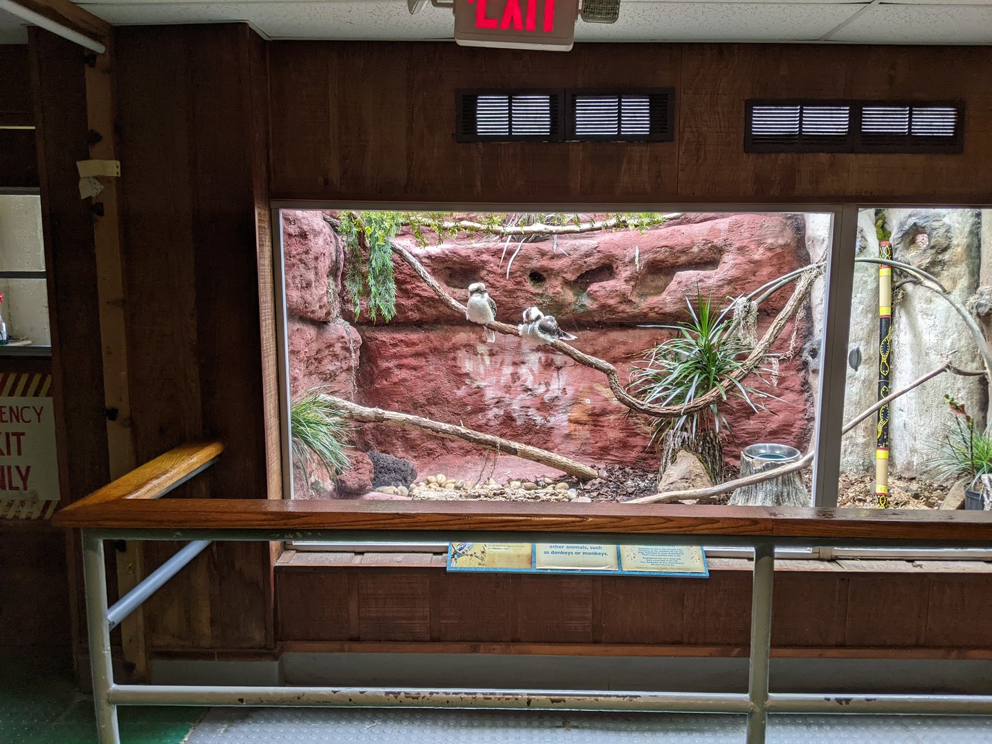 Tropical Bird House - Kookaburra Exhibit