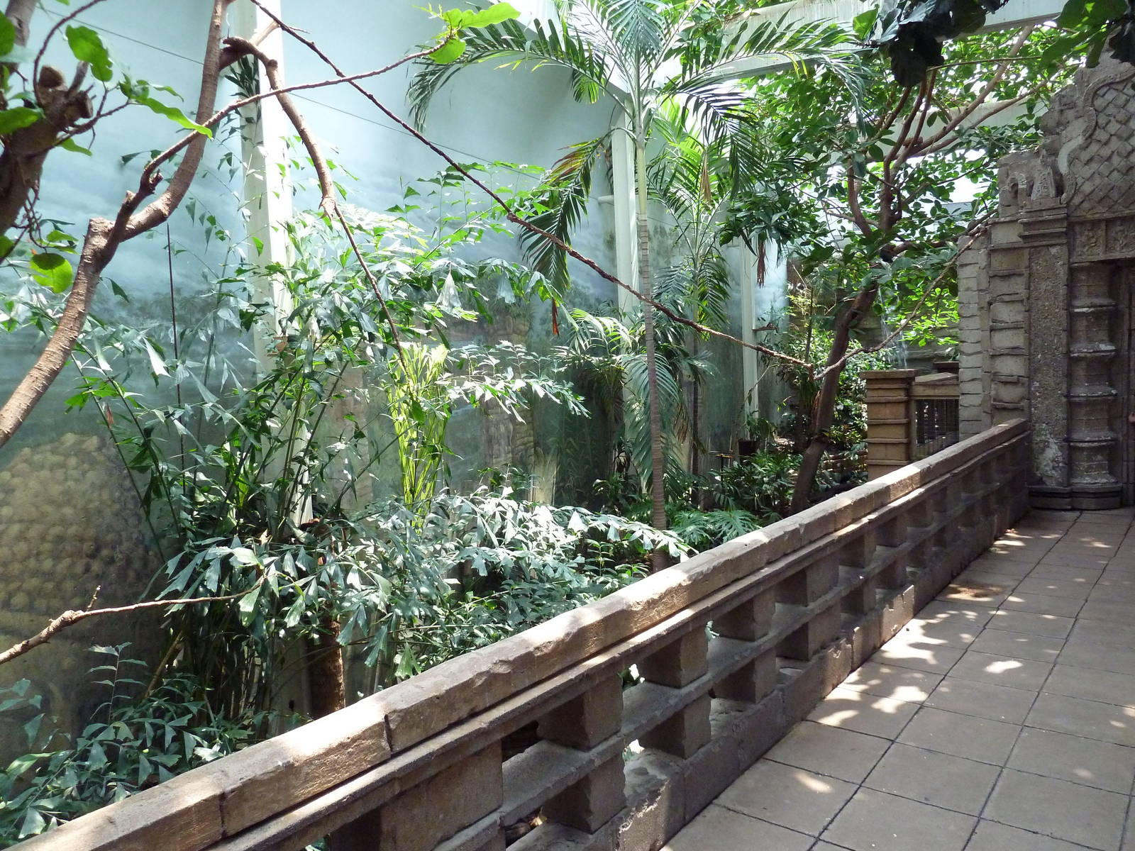 Tropical Bird House - Walk-Through Aviary