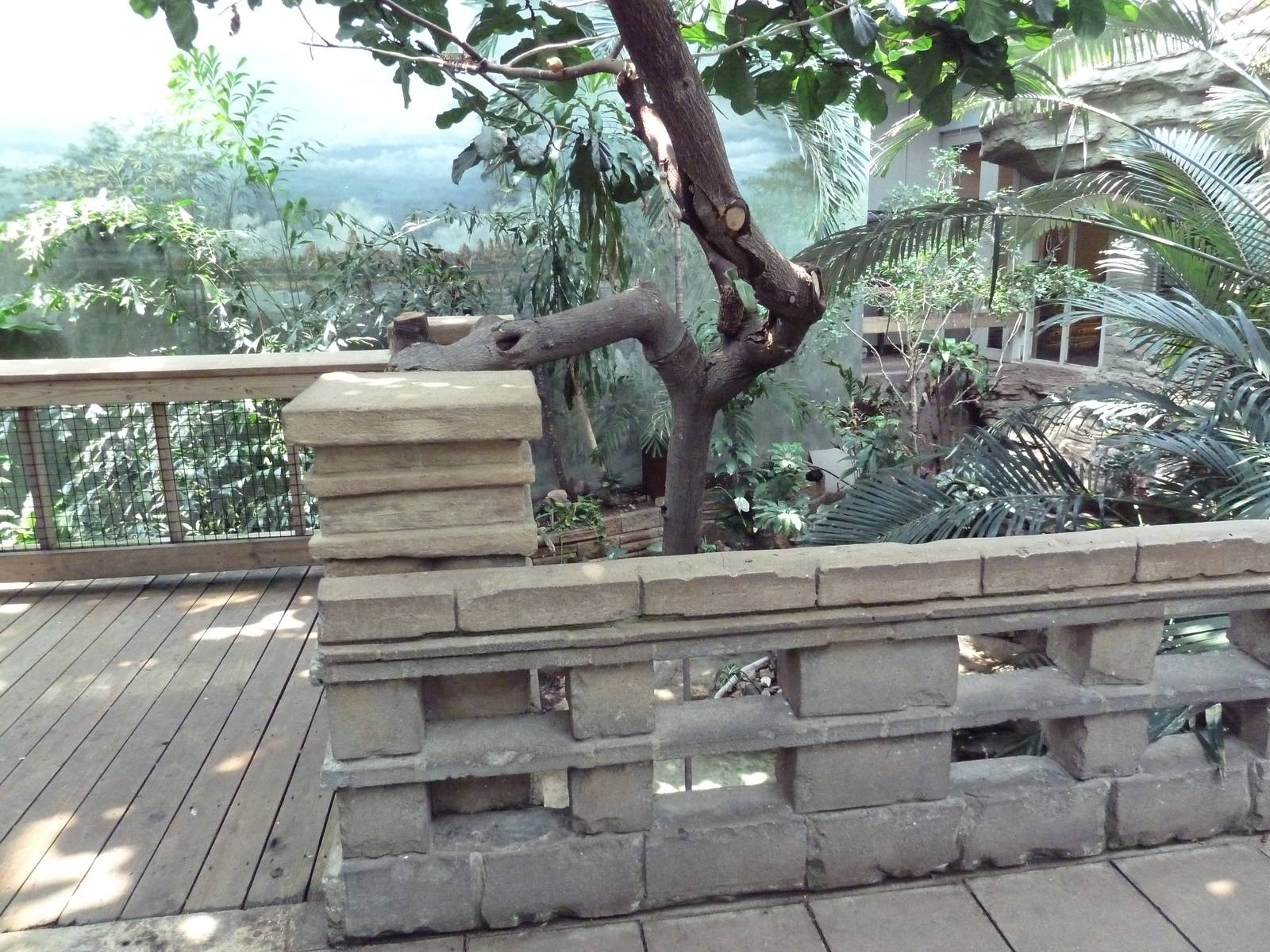 Tropical Bird House - Walk-Through Aviary