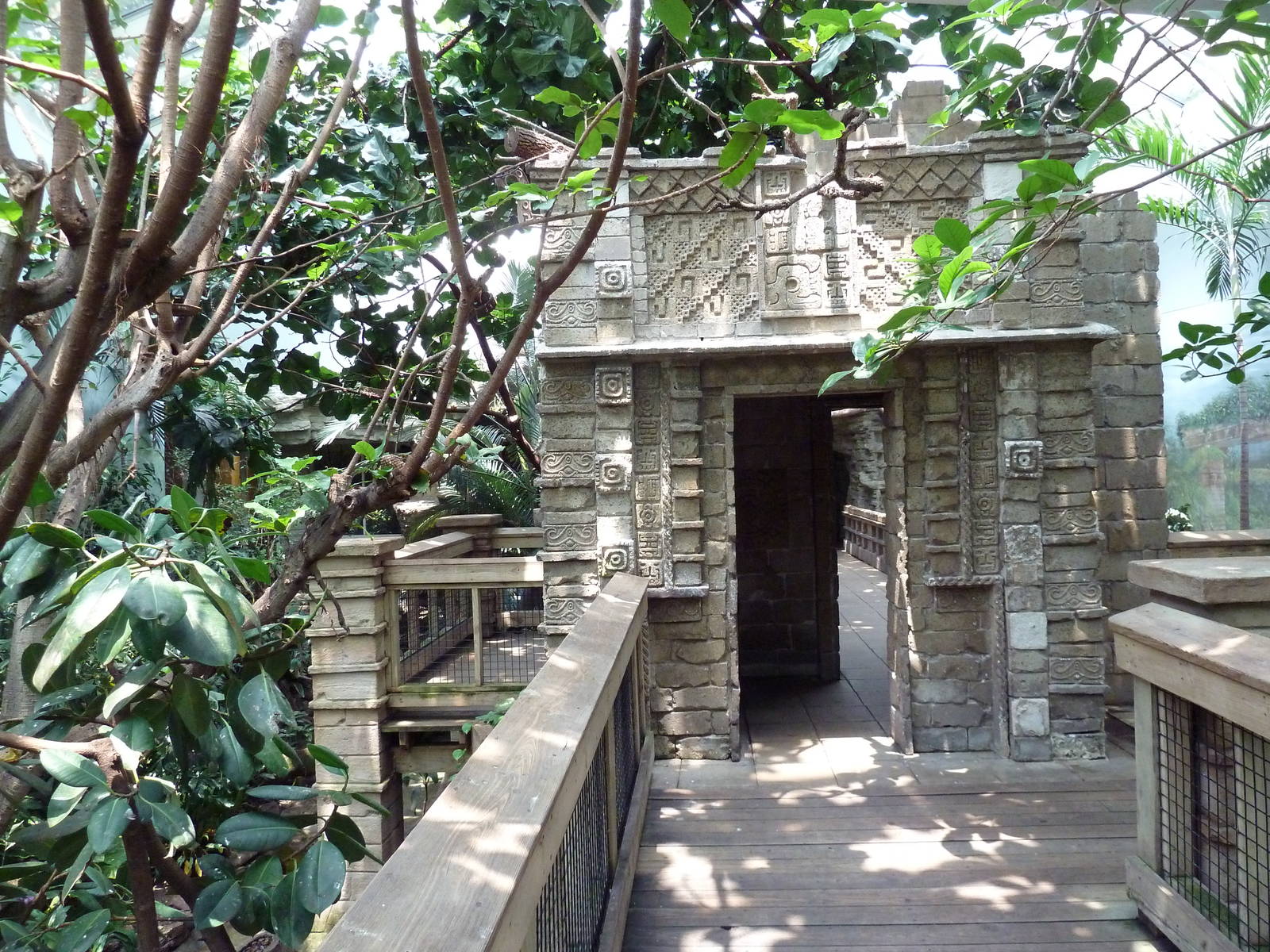 Tropical Bird House - Walk-Through Aviary