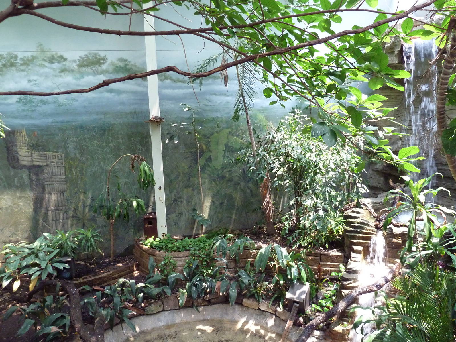 Tropical Bird House - Walk-Through Aviary