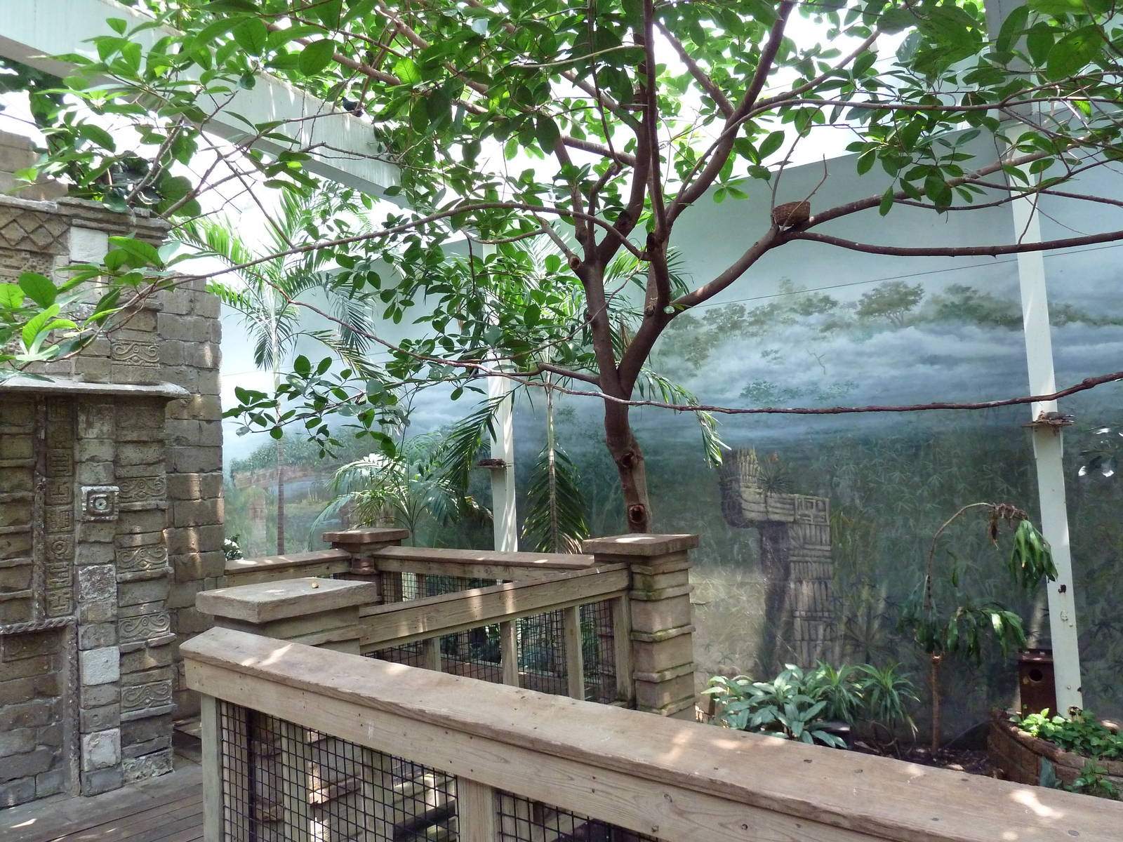 Tropical Bird House - Walk-Through Aviary