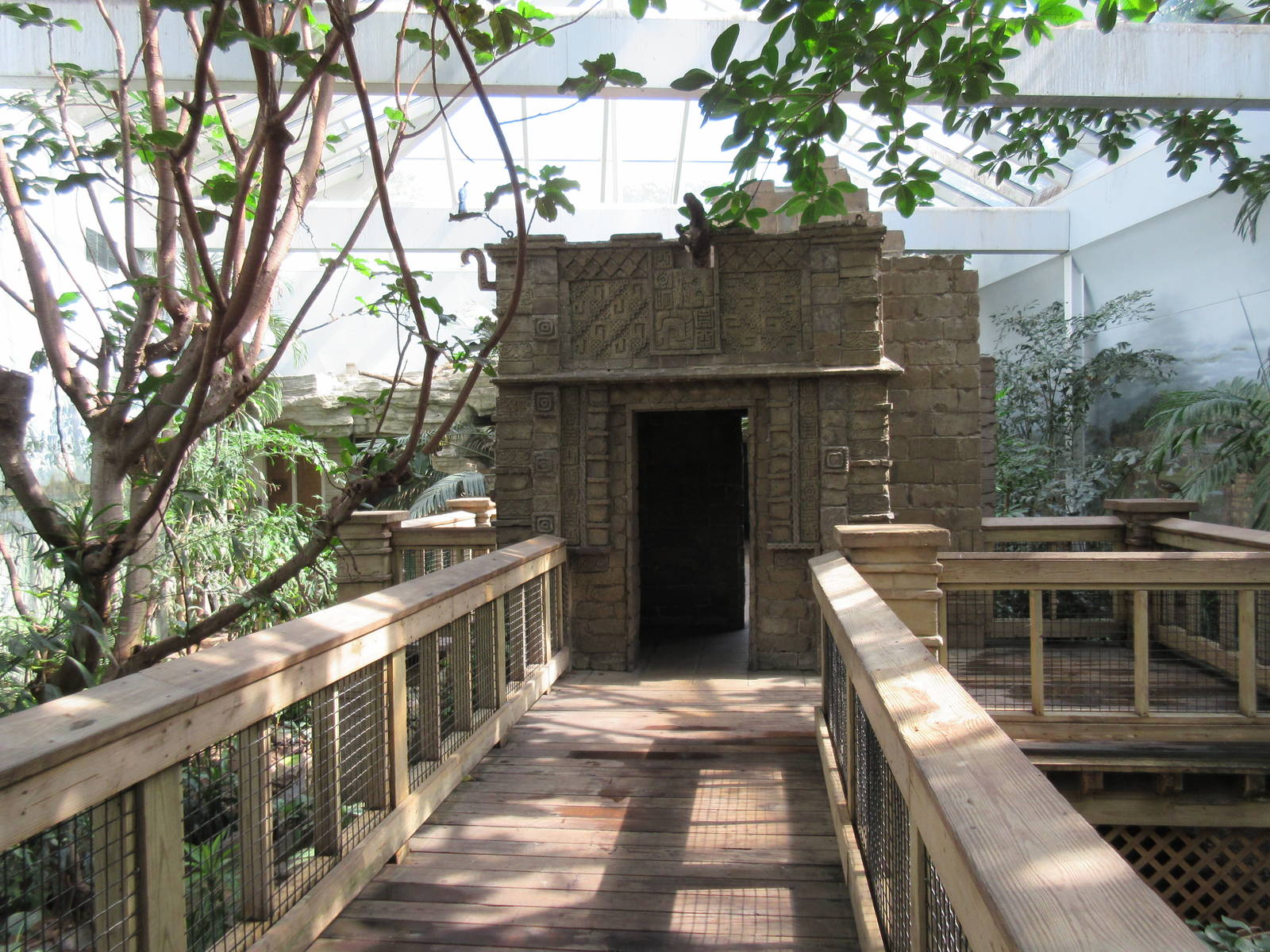 Tropical Bird House - Walk-Through Aviary