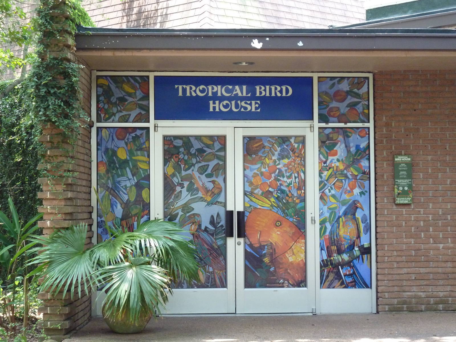Tropical Bird House
