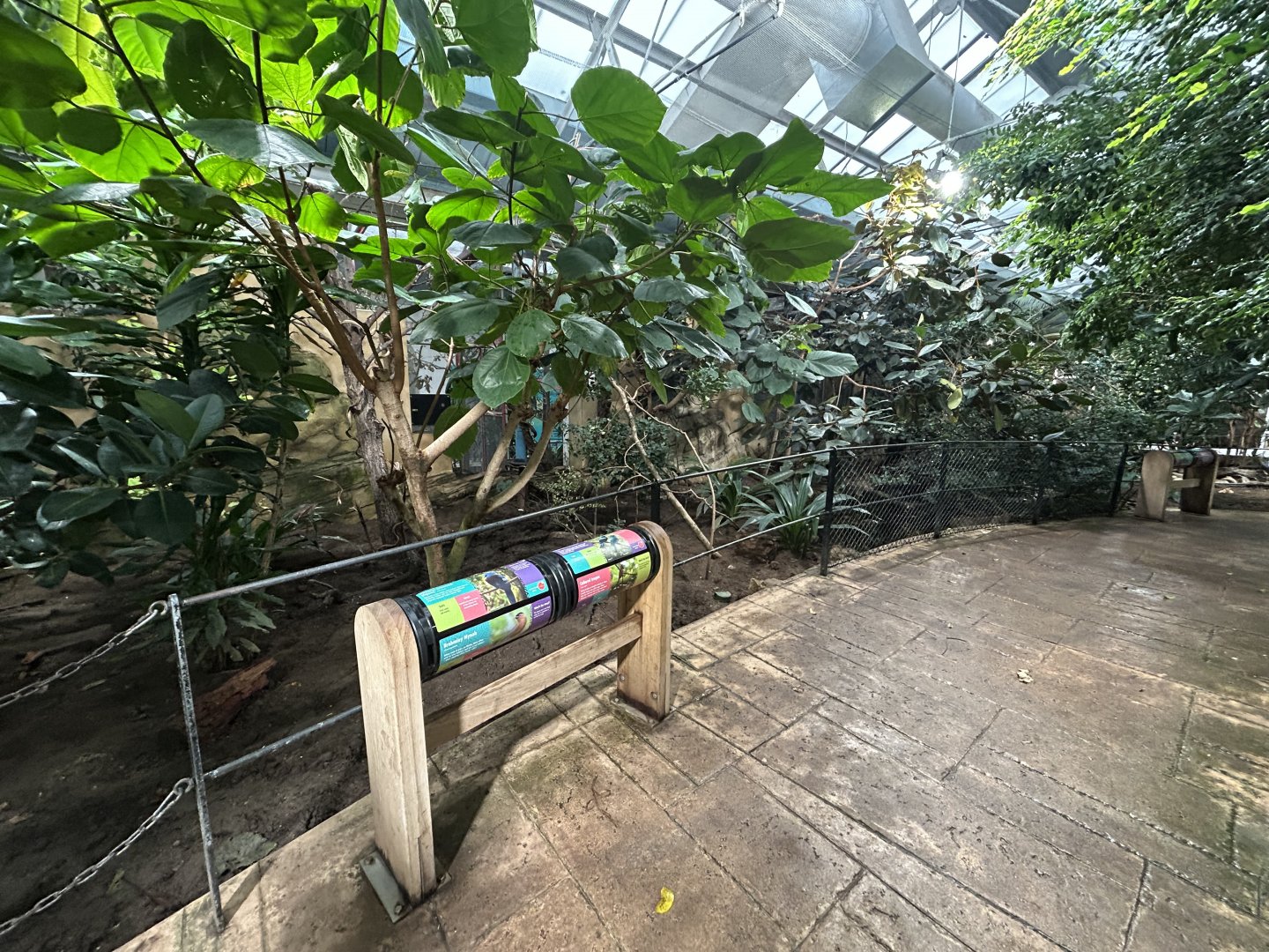 Tropical Bird Walkthrough - Blackburn Pavillon