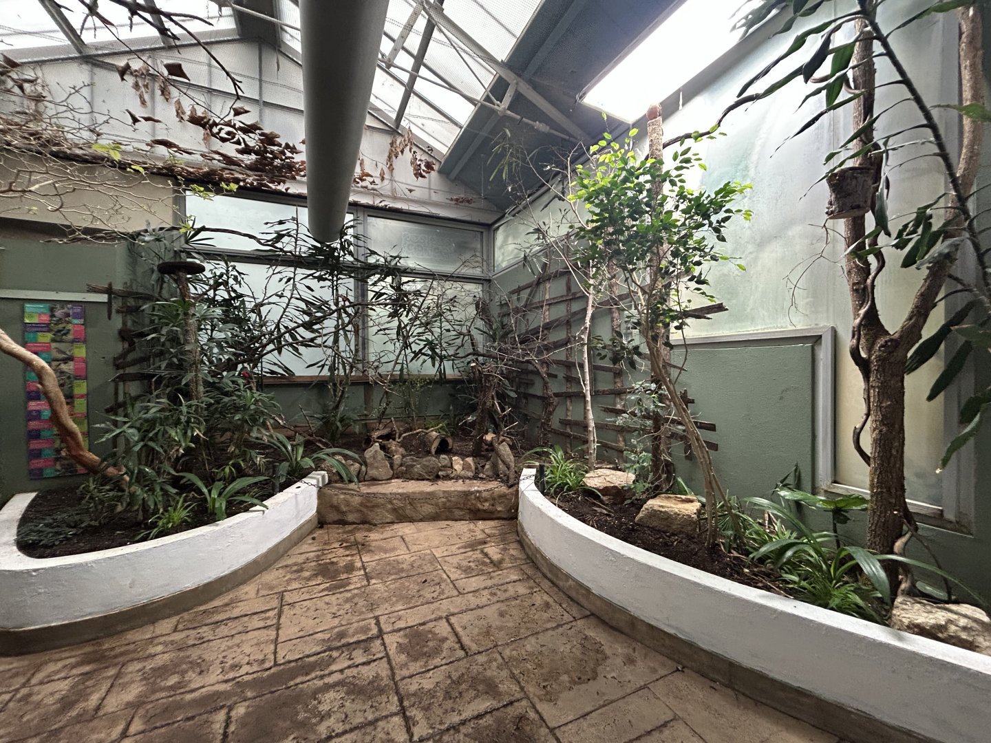 Tropical Bird Walkthrough - Blackburn Pavillon
