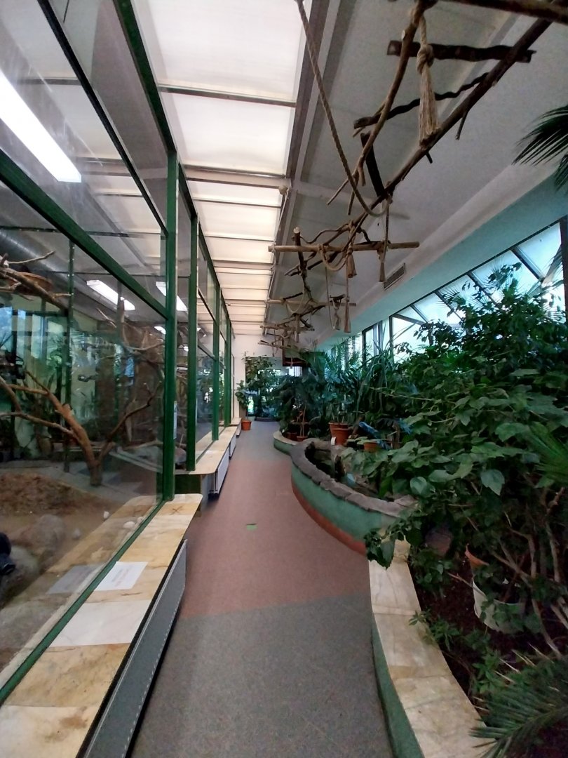 Tropical Birdhouse - General view